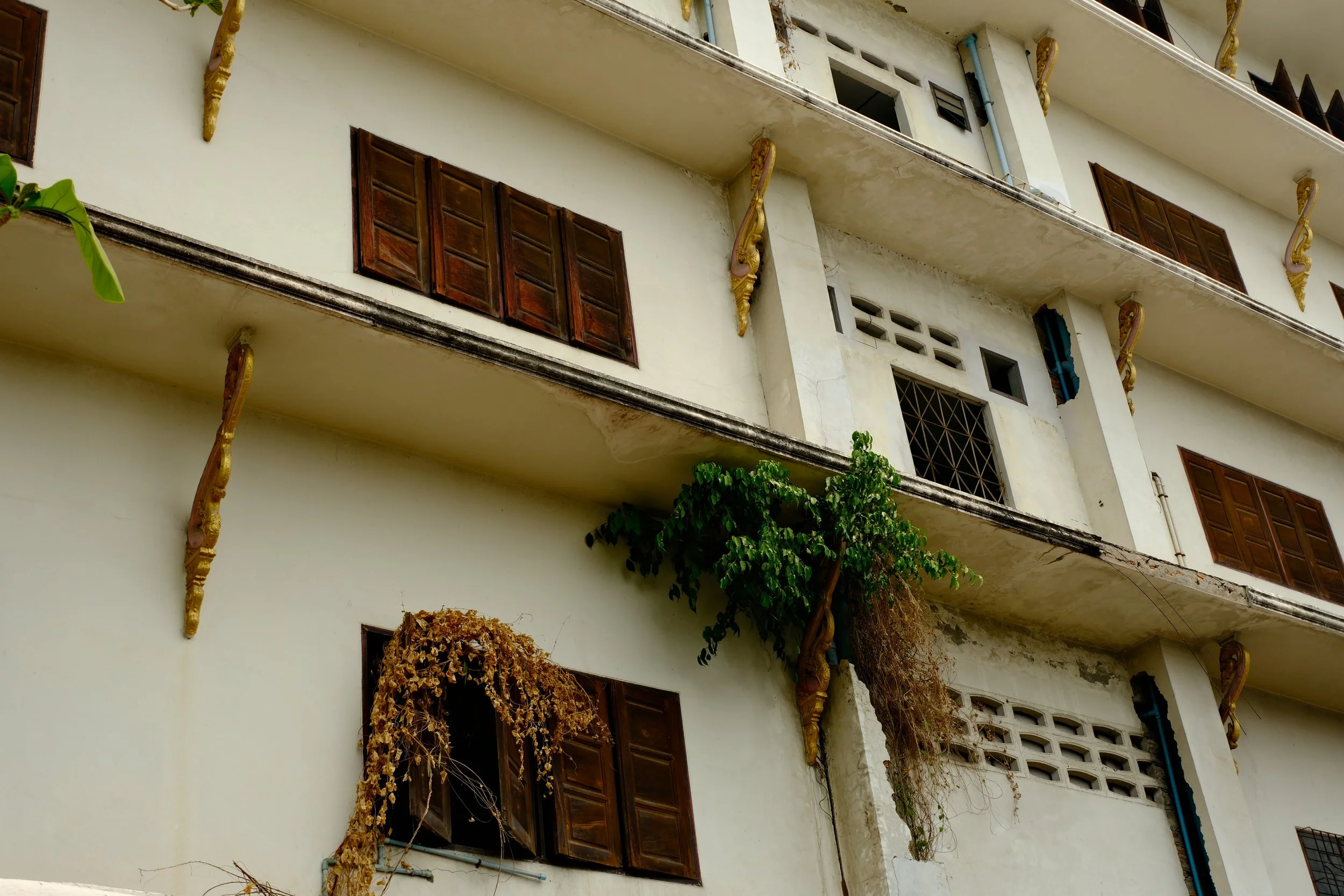 Exterior of a multi-story building with open wooden windows, decorative gold-colored ornamental brackets, and some greenery and dried plants hanging from the balconies.