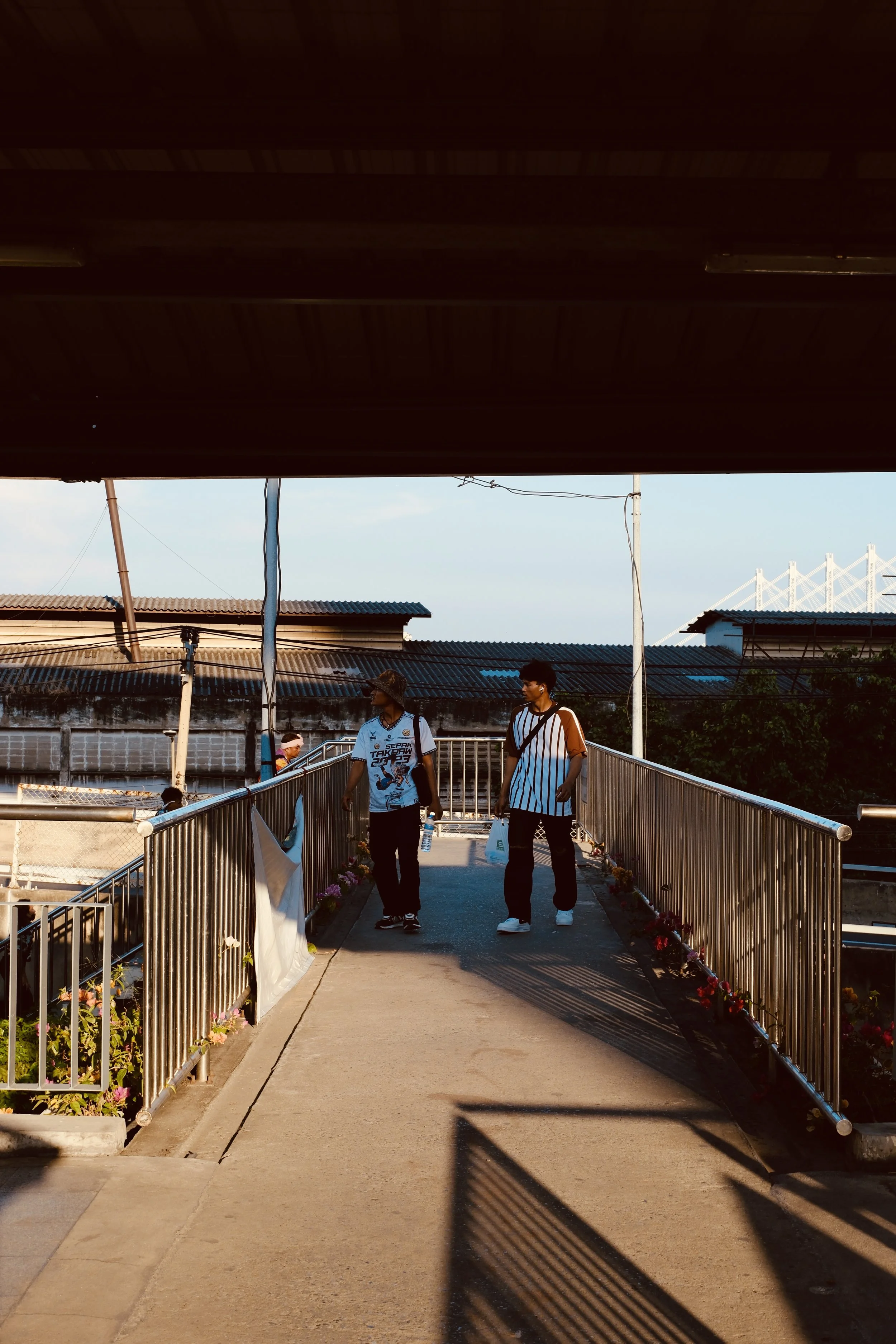 Two people walking on a flower-lined bridge in late afternoon sunlight, with rooftops and a bridge in the background.