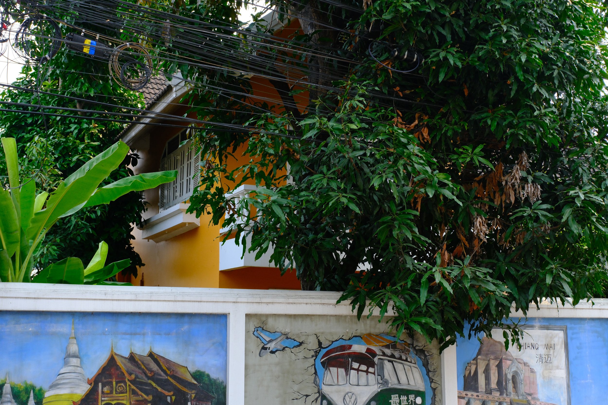 Colorful mural paintings on a fence, with green foliage and a yellow building with white balcony behind, and electrical wires overhead.
