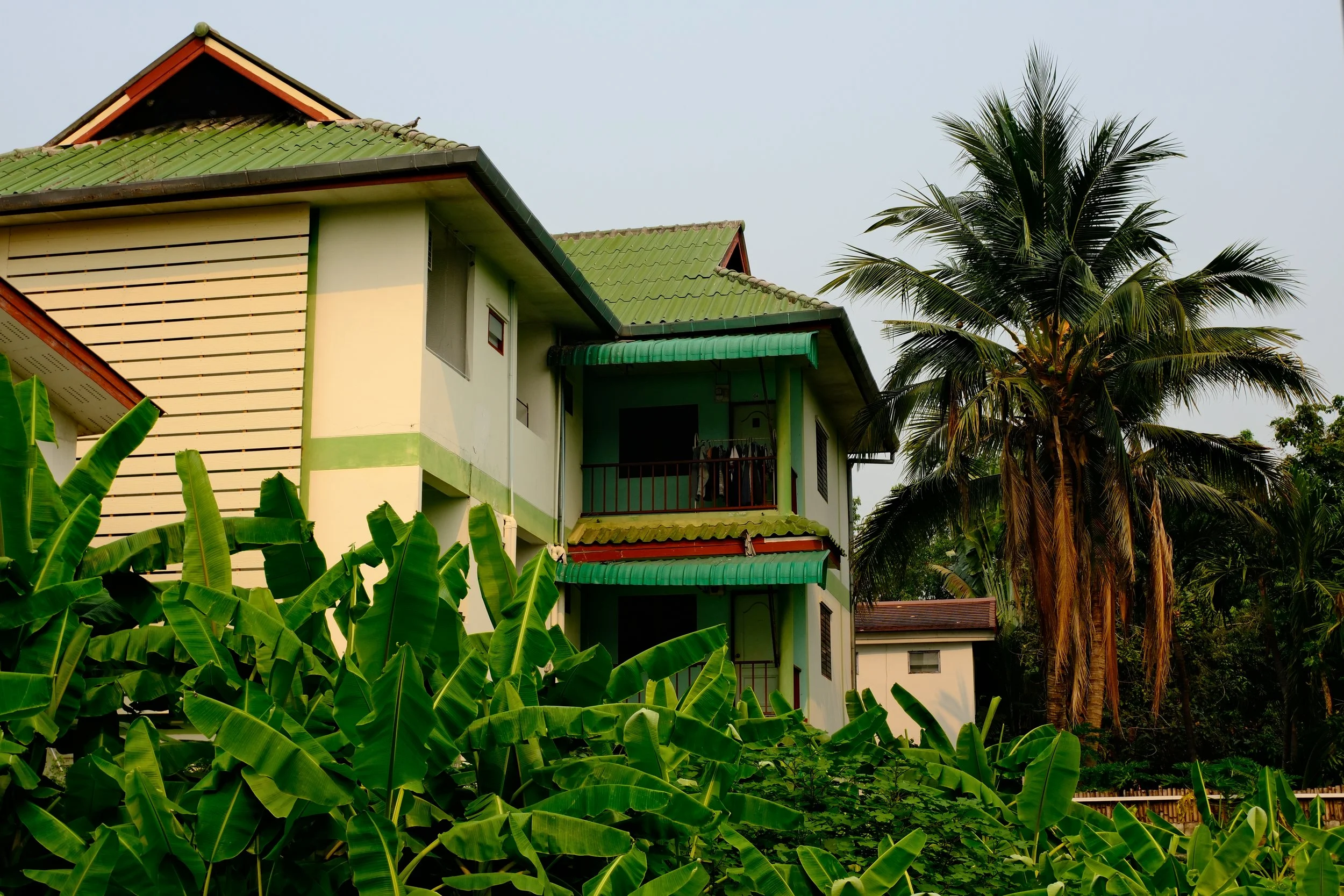 A three-story house with green roofing and exterior walls, surrounded by lush tropical vegetation including banana plants and a tall palm tree.
