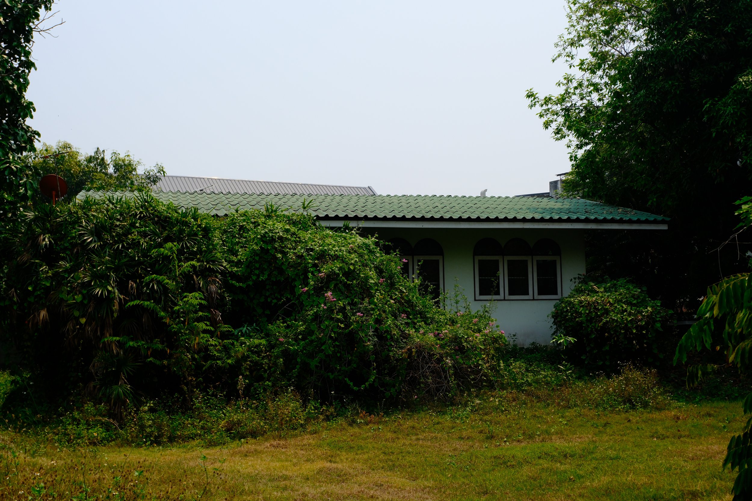A house with white walls and a green roof, surrounded by lush green bushes and trees, on a cloudy day.