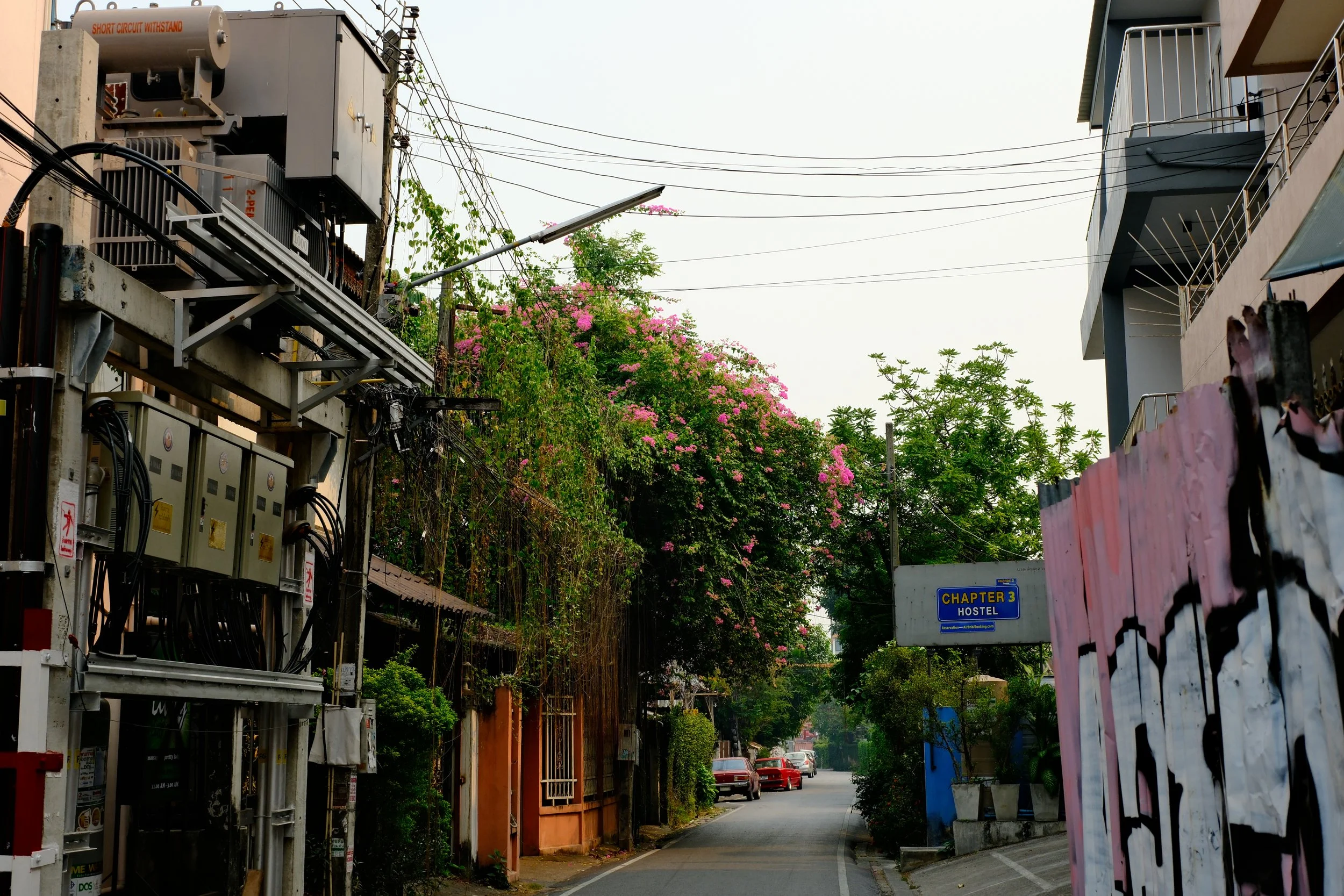 Narrow street with electrical equipment on the left, pink flowering trees overhead, and a hostel sign reading 'Chapter 3 Hostel' on the right. Cars parked along the street and buildings on both sides.