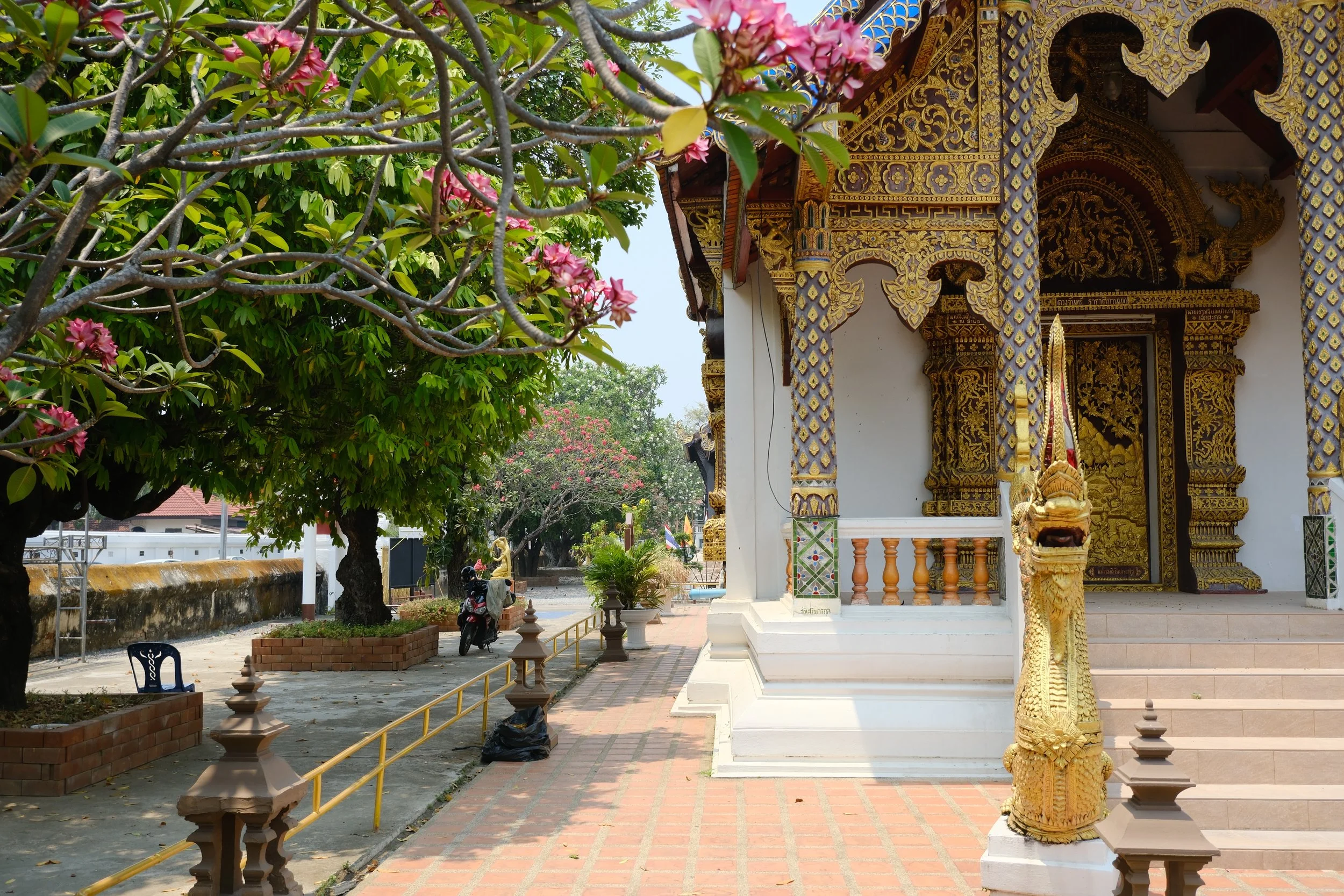 A traditional Thai temple entrance with ornate gold detailing, a golden Naga sculpture at the staircase, and flowering trees in the surrounding garden.