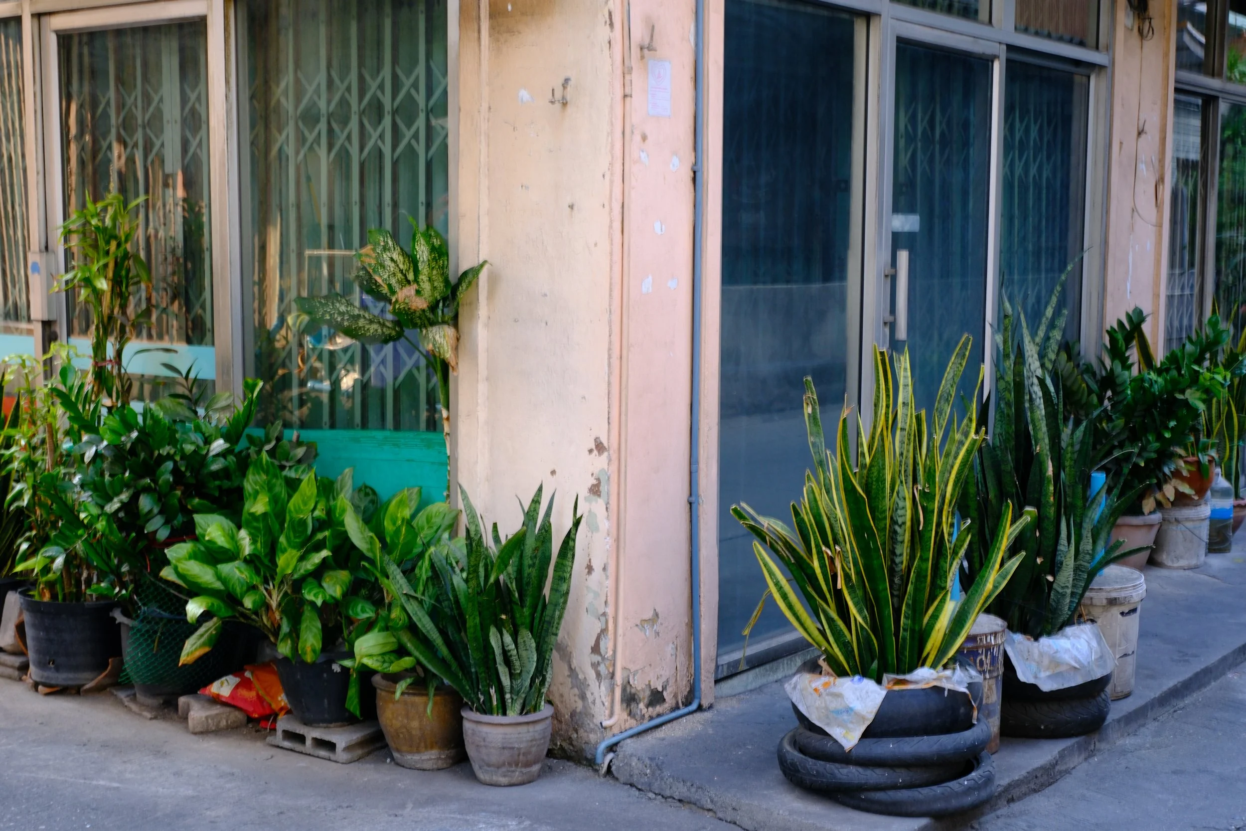 Potted plants and greenery outside a building with glass windows and a sliding door
