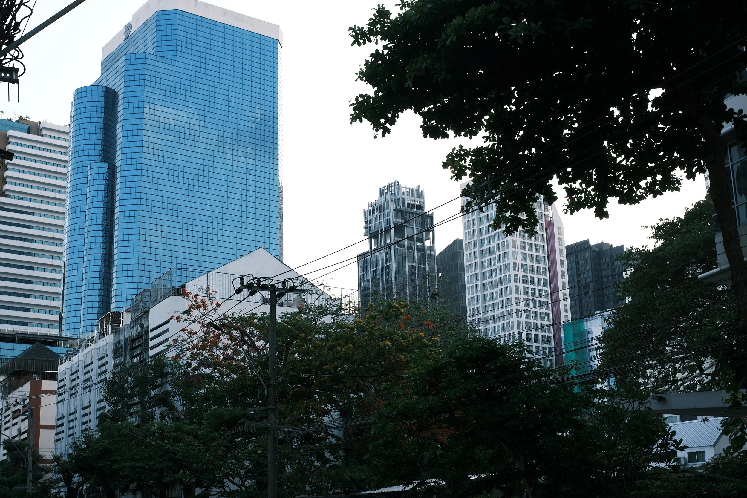 Cityscape with tall modern glass buildings and trees in foreground.