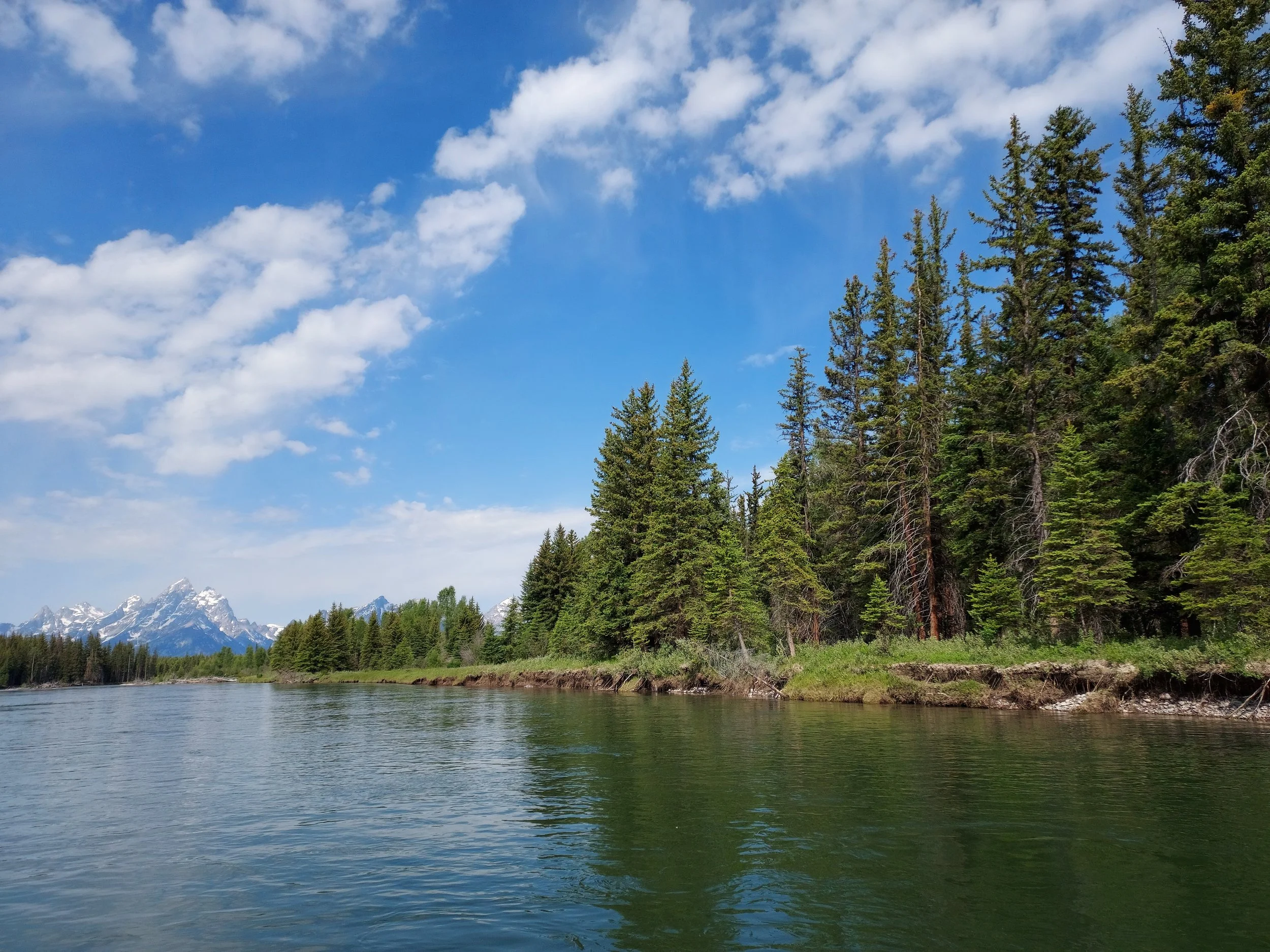 Package of 5 coaching sessions - 50 minutes each