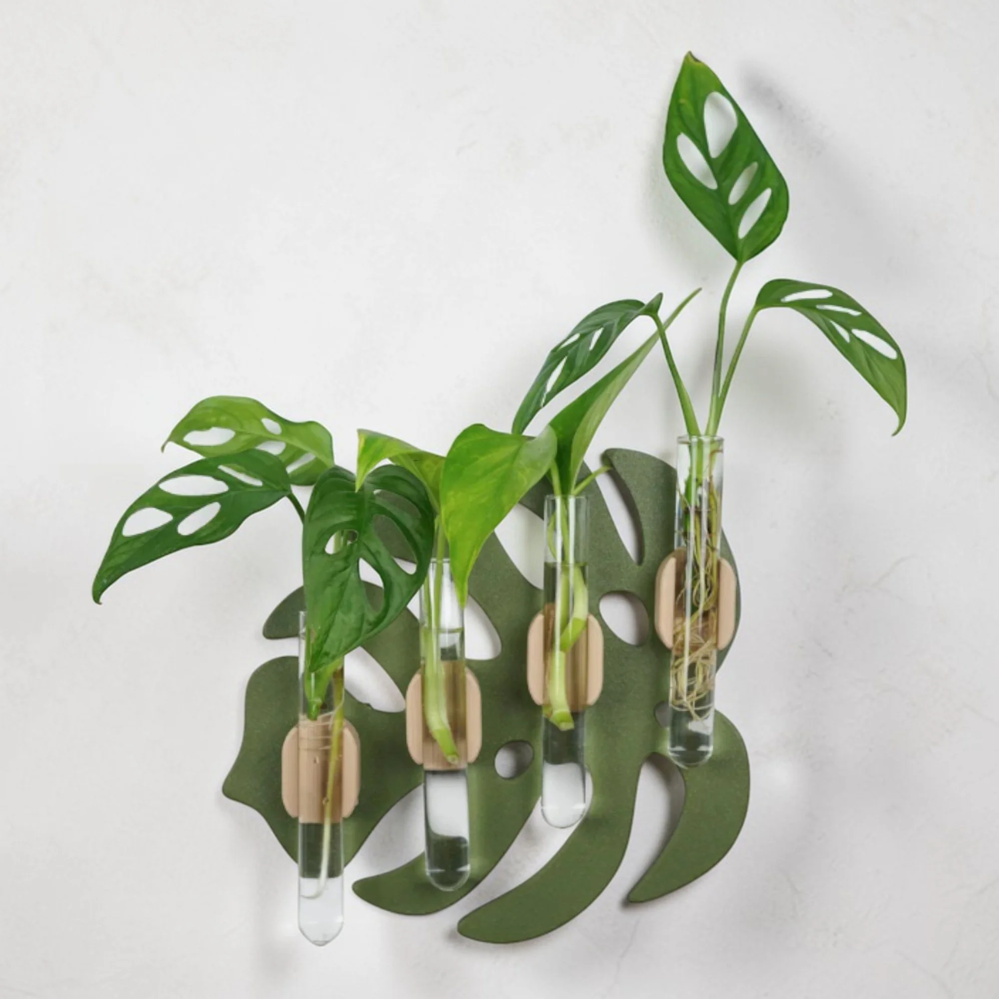 Monstera-förmige Stecklingsvase mit drei Glasröhrchen und grünen Ablegern vor hellem Hintergrund.