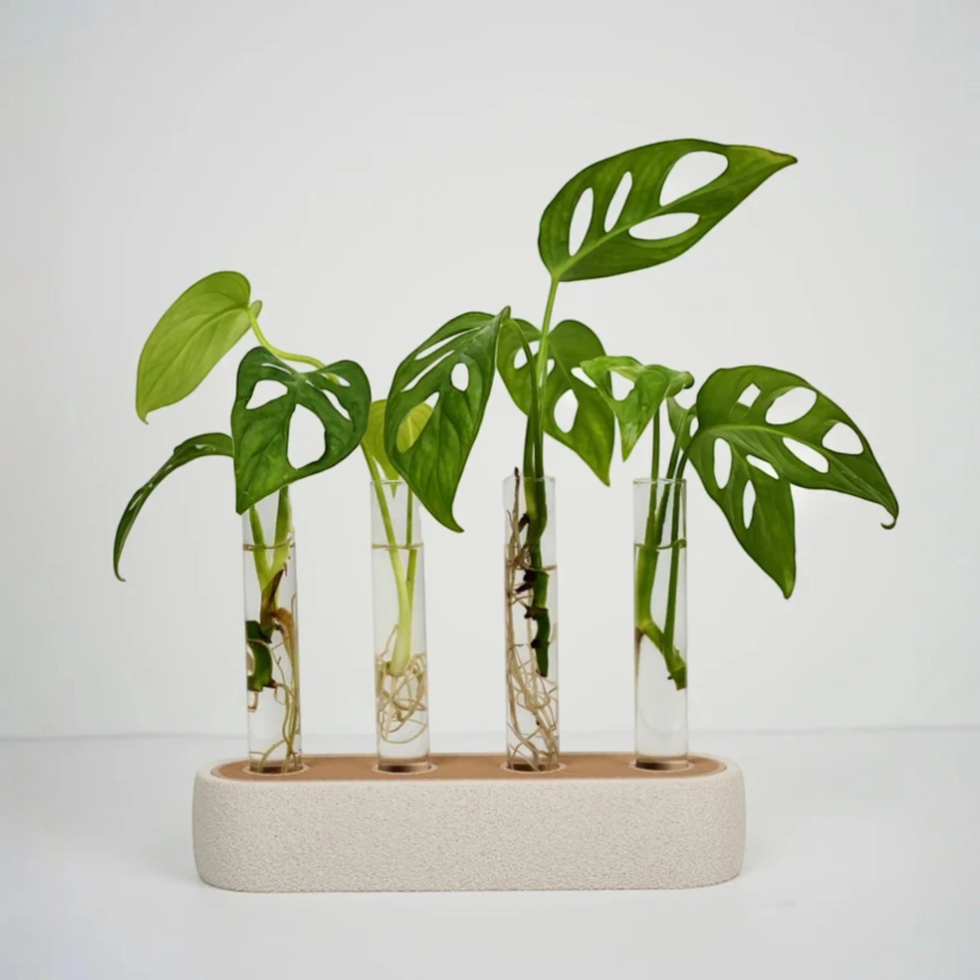 Beige Ablegerstation mit vier Glasröhrchen und grünen Pflanzenstecklingen als ruhiger, moderner Blickfang für Fensterbank, Regal oder Schreibtisch.