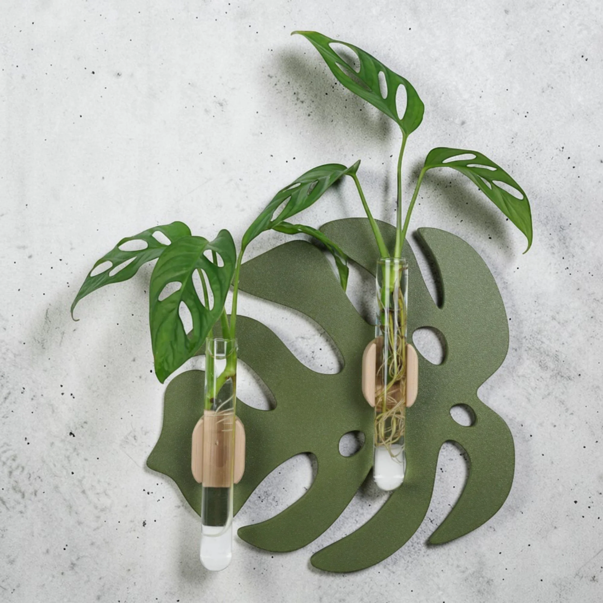 Stecklingsstation in Monstera-Form mit drei eingesetzten Glasröhrchen und frischen Ablegern auf hellem Untergrund mit weichem Blattschatten.