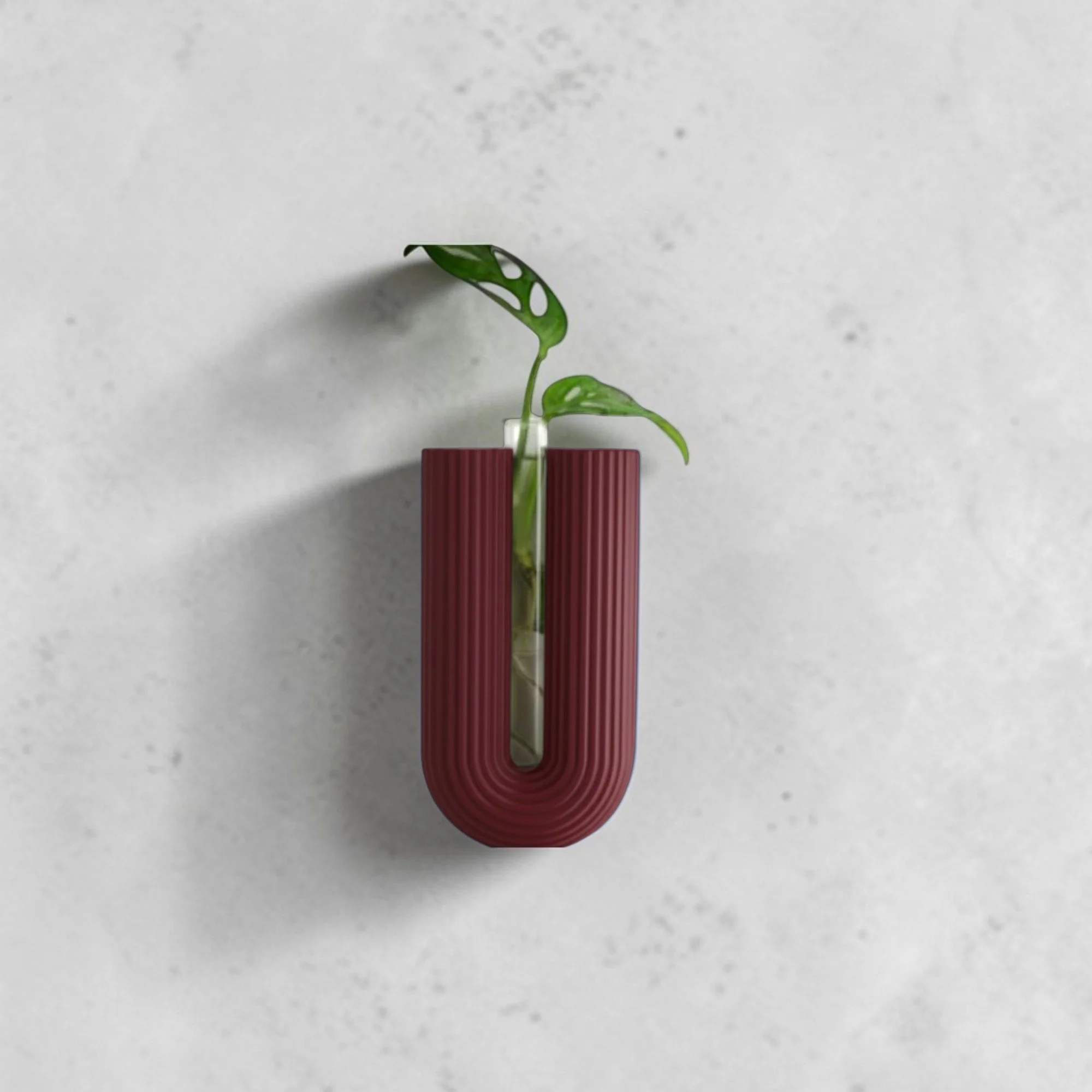 Wandvase BOWIA in Bordeauxrot mit Glasröhrchen und grünem Steckling, skulpturale Wanddeko für Stecklinge und einzelne Pflanzenstängel