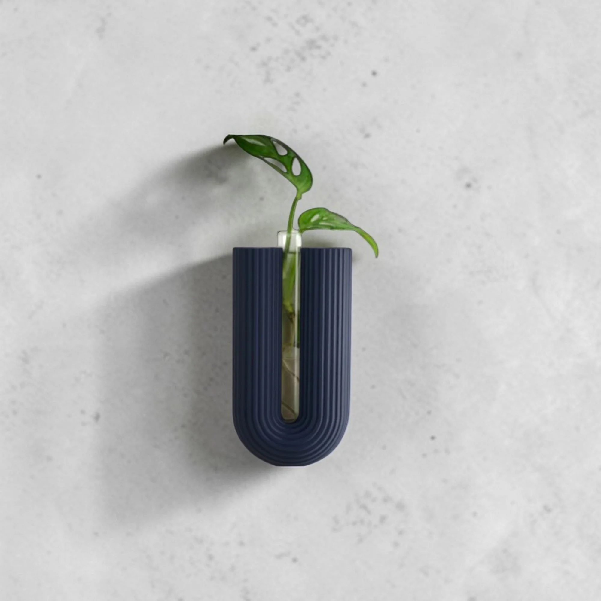 Wandvase BOWIA in Dunkelblau mit Glasröhrchen und grünem Steckling, minimalistische Pflanzenhalterung für platzsparende Wanddeko