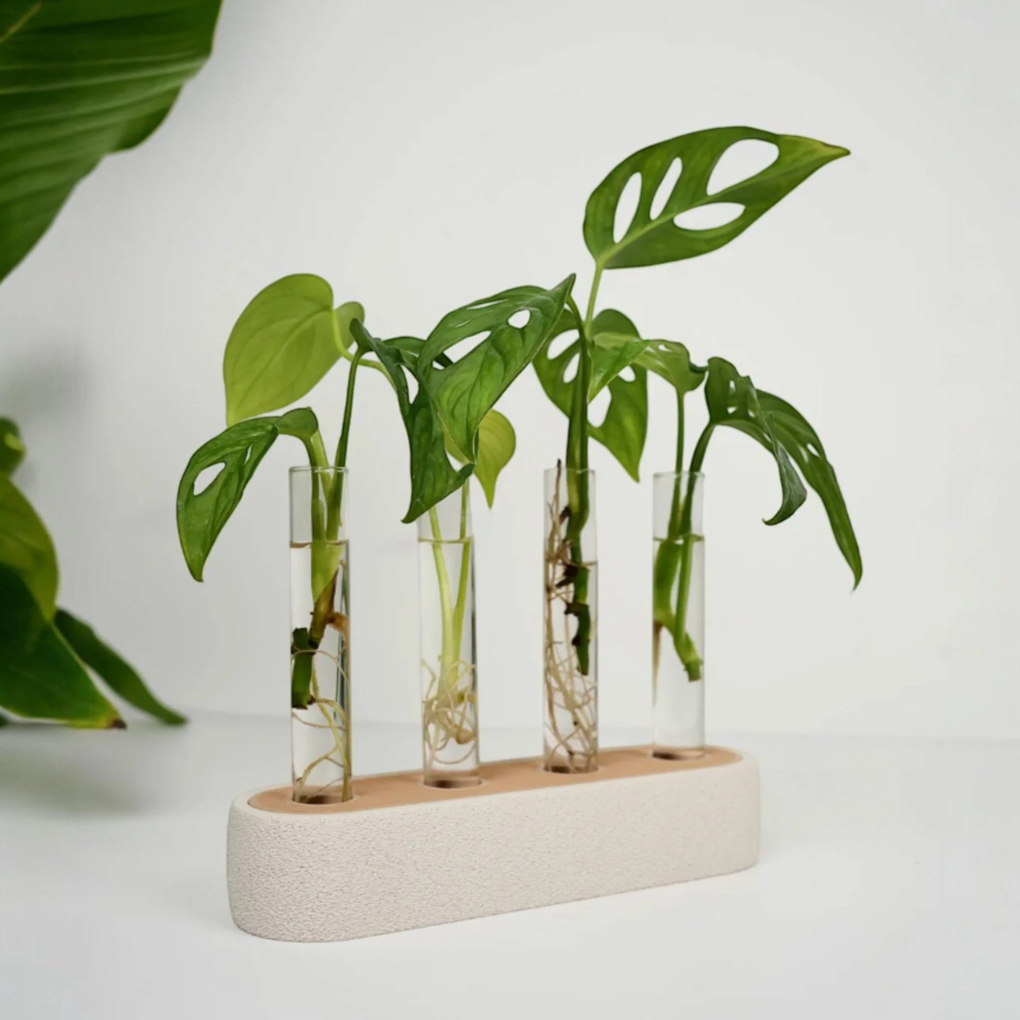 Minimalistische Ablegerstation in Beige und Hellbraun mit vier Glasröhrchen und grünen Stecklingen als stilvoller Pflanzenhalter für Fensterbank oder Regal.
