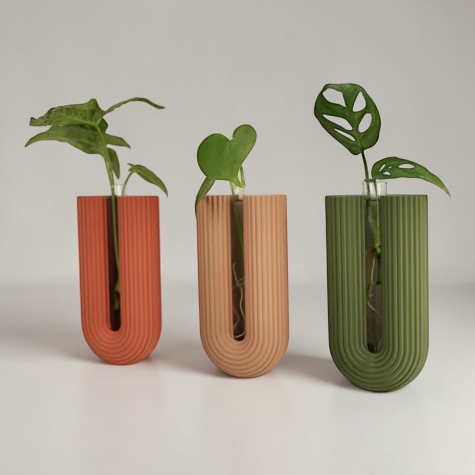 Drei BOWIA Wandvasen in Terrakotta, Natur und Olivgrün mit Stecklingen an heller Wand, reduziert gestaltet für platzsparende Pflanzenpräsentation.