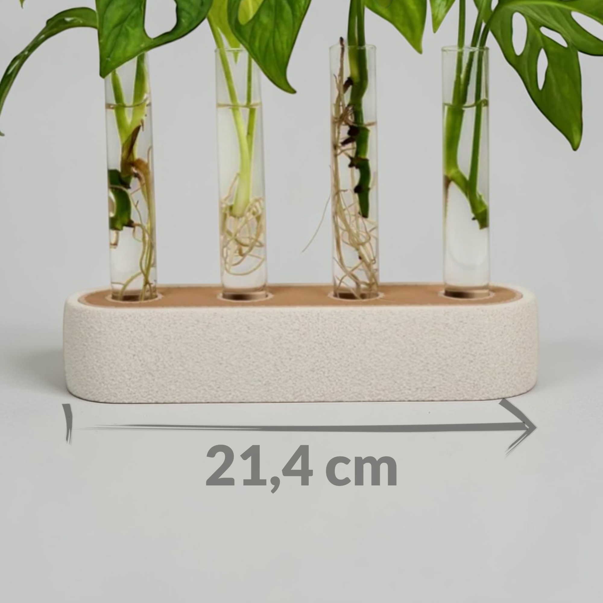 Ablegerstation in Beige und Hellbraun mit vier Glasröhrchen und grünen Stecklingen, frontale Ansicht mit sichtbarer Breite von 21,4 cm.