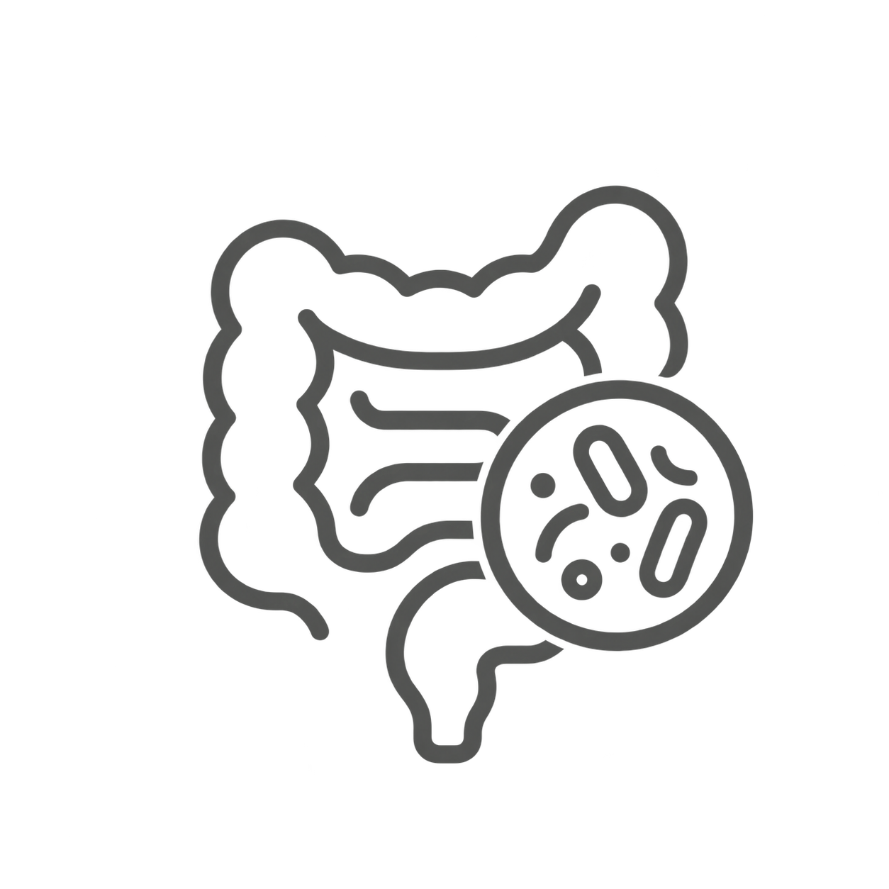 Gut Microbiome Test - Microbiome Profile