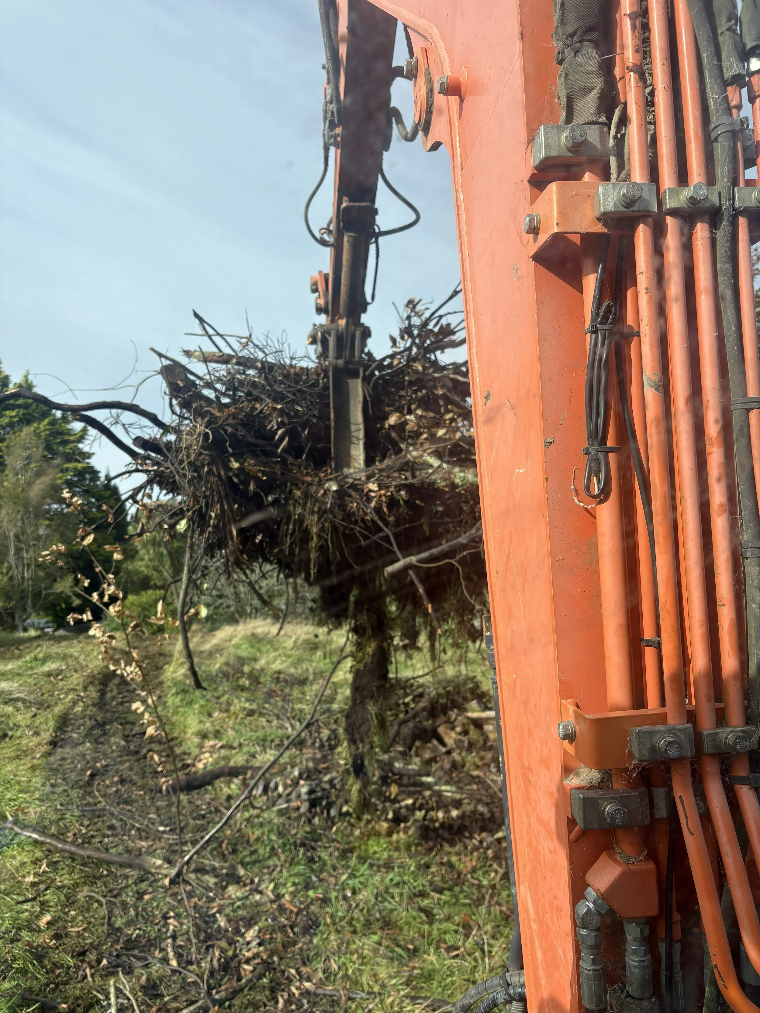 Close-up view of the hydraulic arm of an orange heavy-duty excavator in operation, lifting a large tree trunk with branches and roots, during daytime in an outdoor setting with a partly cloudy sky.