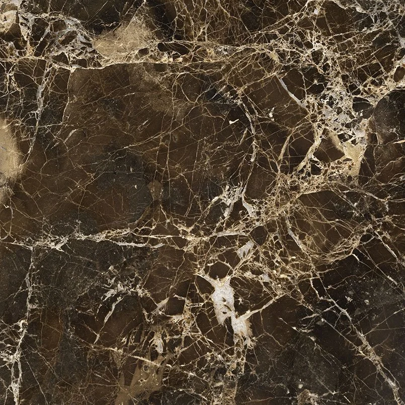 Close-up of dark marble surface with intricate white and light brown veining.
