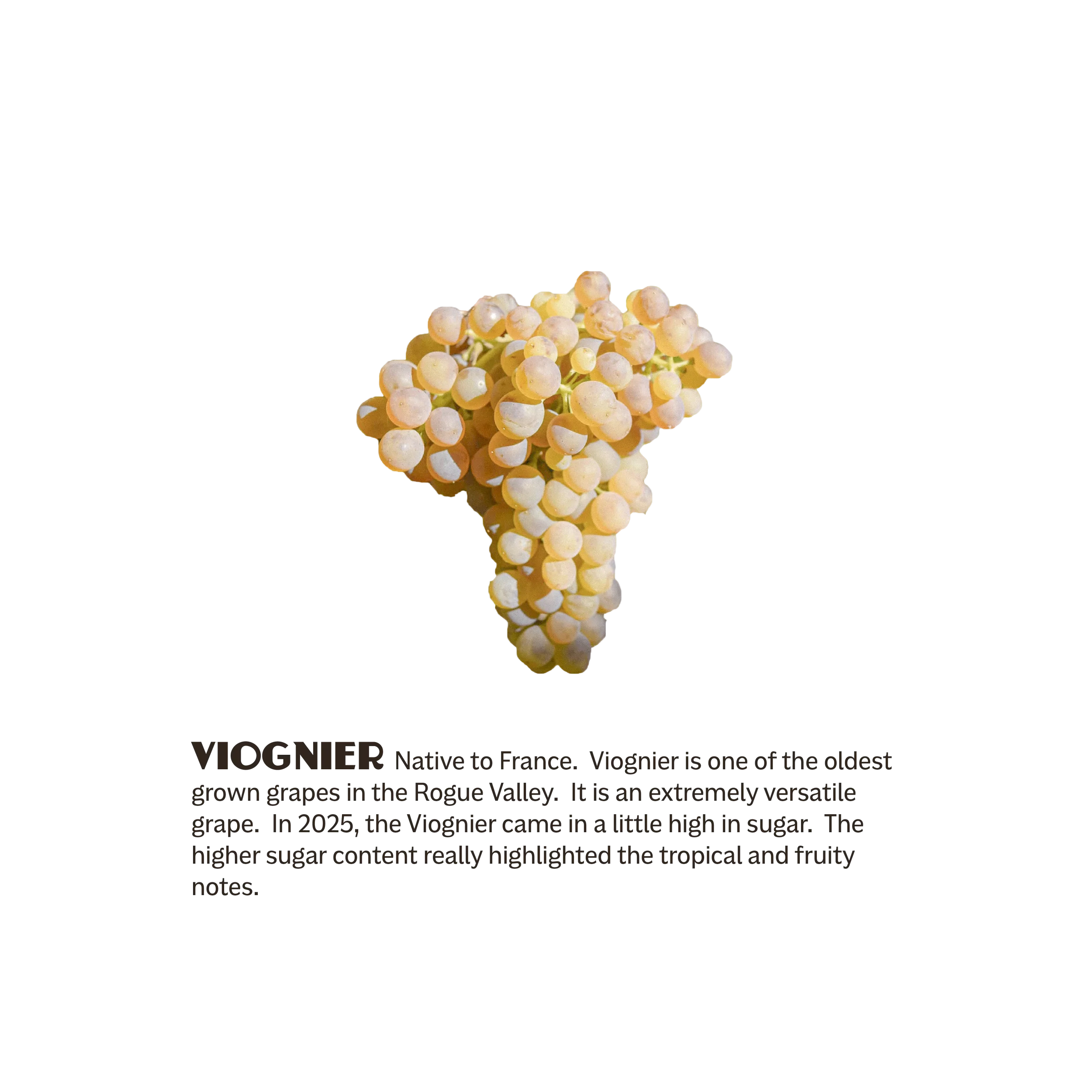 Poduct-Picture-3BarrelsBlend-Infographics-04.webp