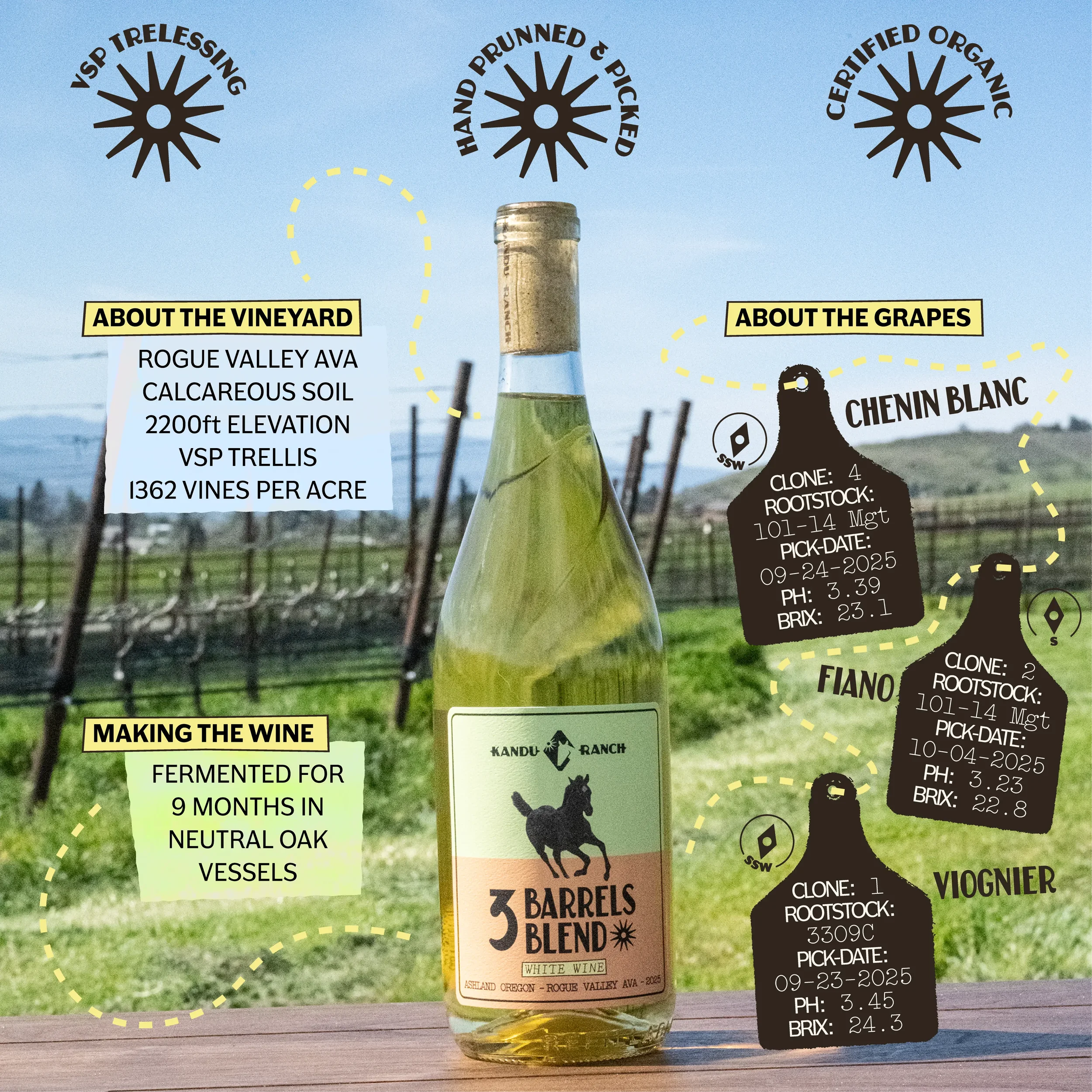 KanduRanch-3BarrelsBlend-TitlePicture-Infographic.webp