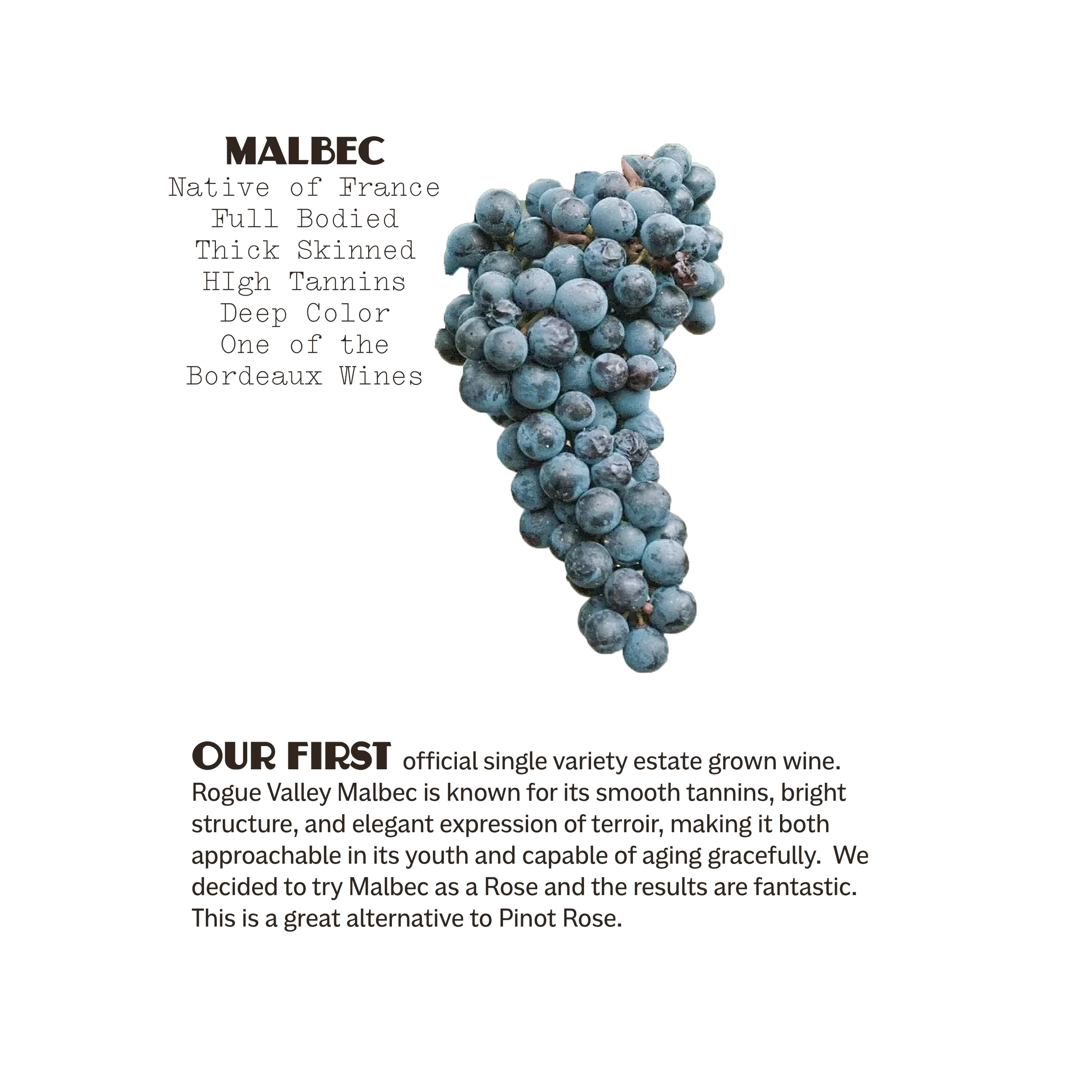 Poduct-Picture-RoseOfMalbec-Infographic-bottle-03.webp