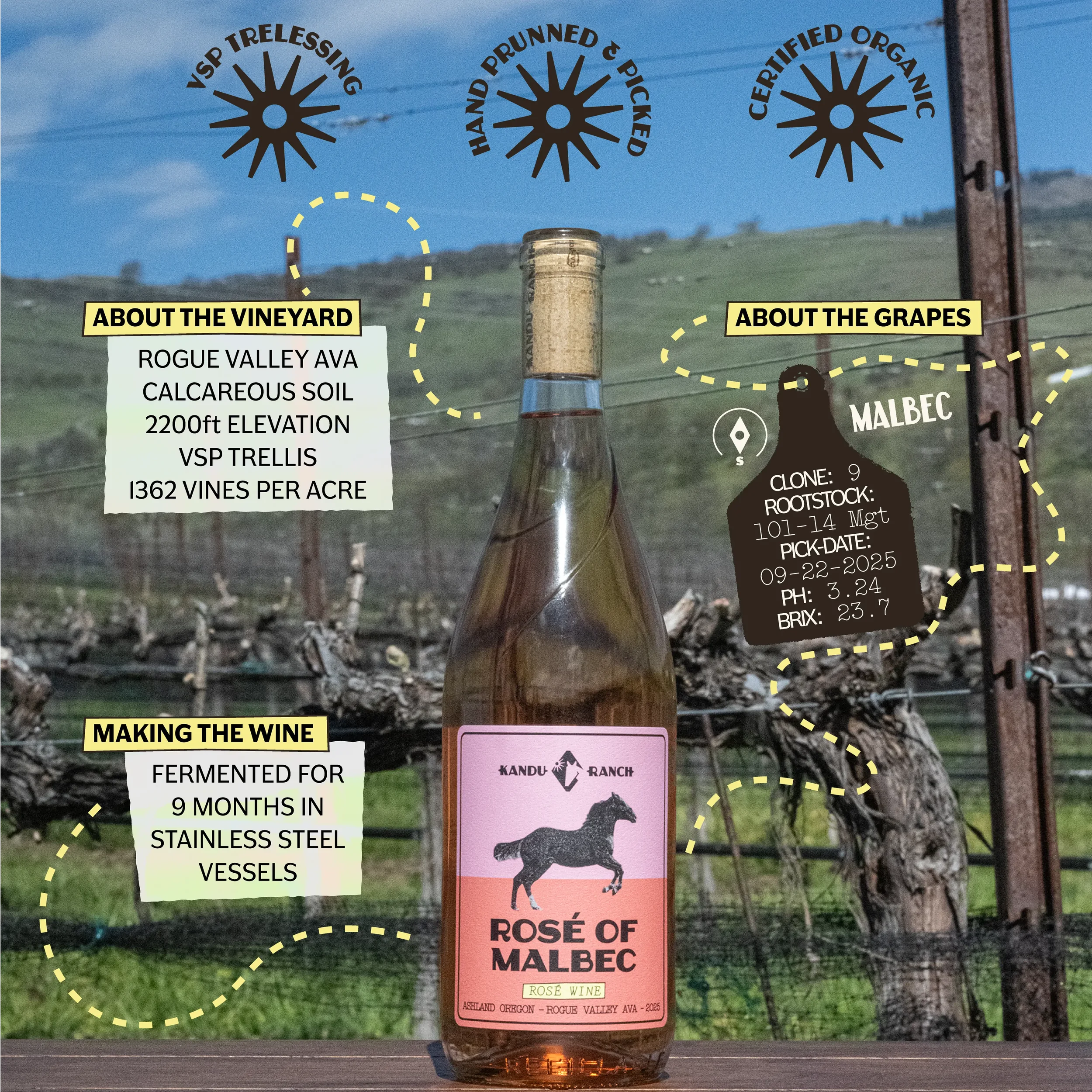KanduRanch-RoseOfMalbec-TitlePicture-Infographic.webp