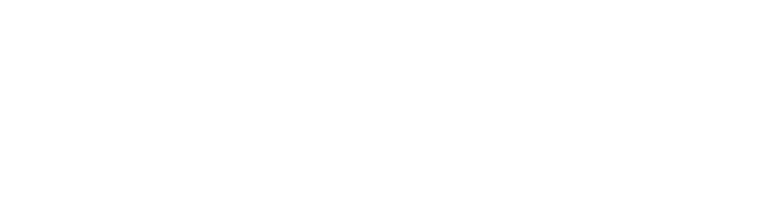 NORDIC PRO FORCE
