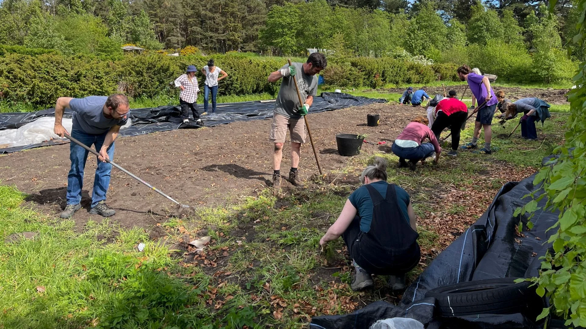 Group of people planting and cultivating the soil in a garden or farm on a bright, sunny day.