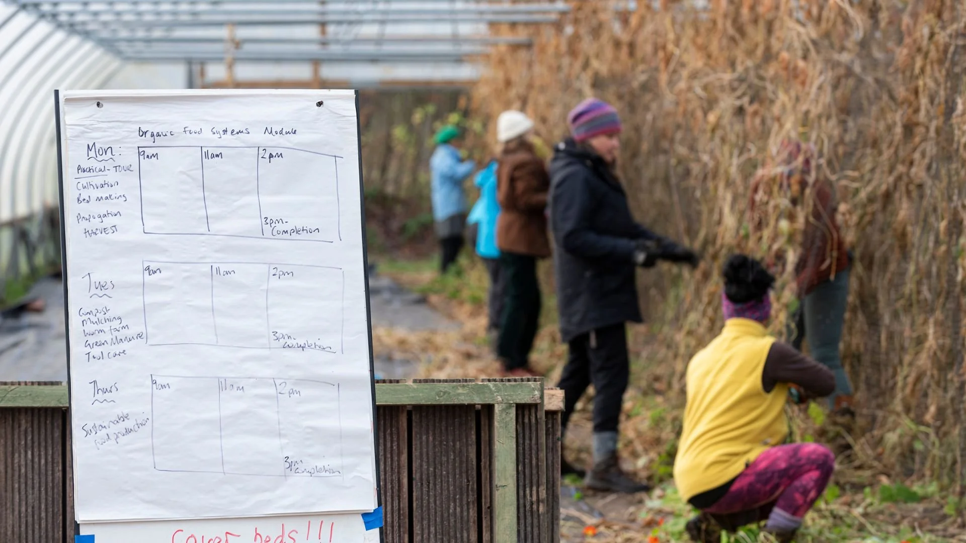 A whiteboard with a weekly schedule for an organic food systems module, placed outdoors near a greenhouse. In the background, four people wearing warm clothing and hats are working on or examining plants on a tall hedge or wall in a garden or farm setting.