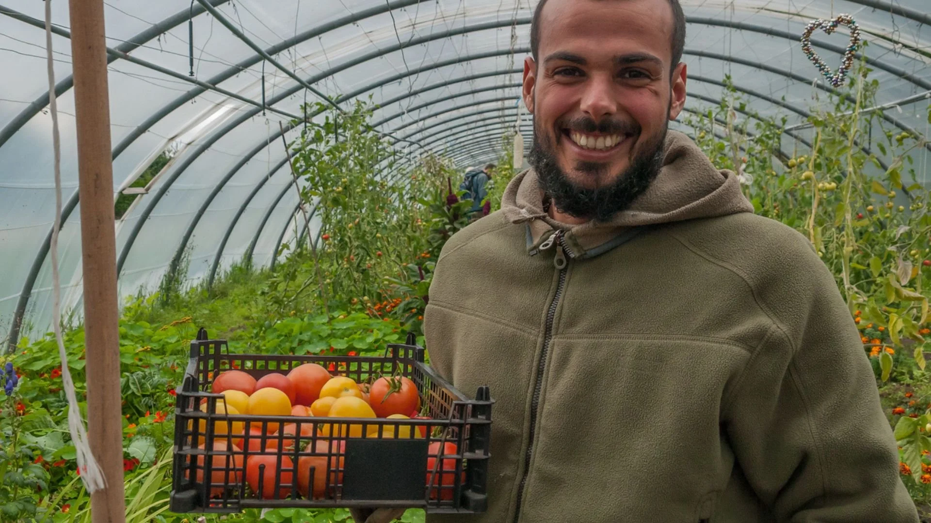 A man smiling inside a greenhouse holding a crate of heirloom tomatoes, with rows of tomato plants and other vegetables behind him.