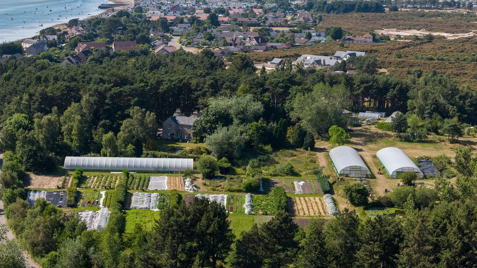 Aerial view of a lush green garden with multiple gardens, greenhouses, and trees, near a residential neighborhood by a body of water.