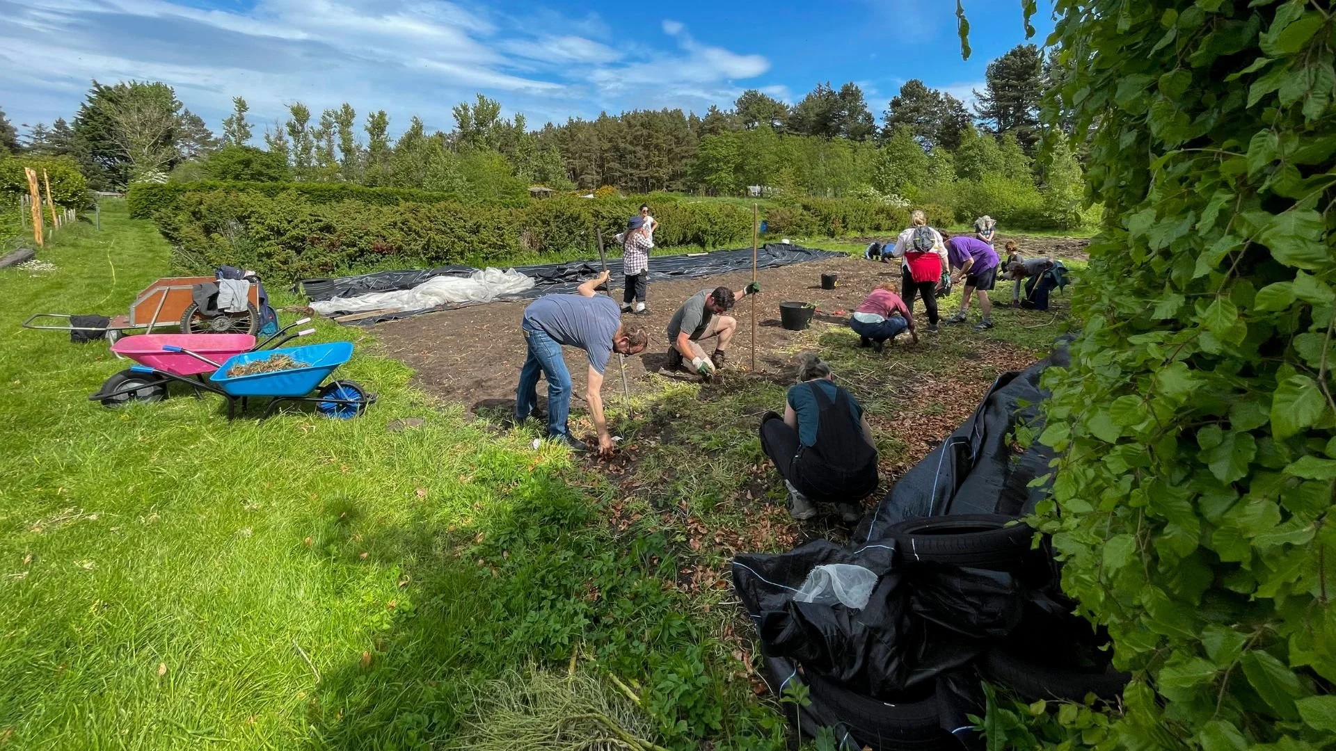A group of people working in a garden or farm, planting or tending to plants, with tools and equipment around, under a blue sky with scattered clouds.