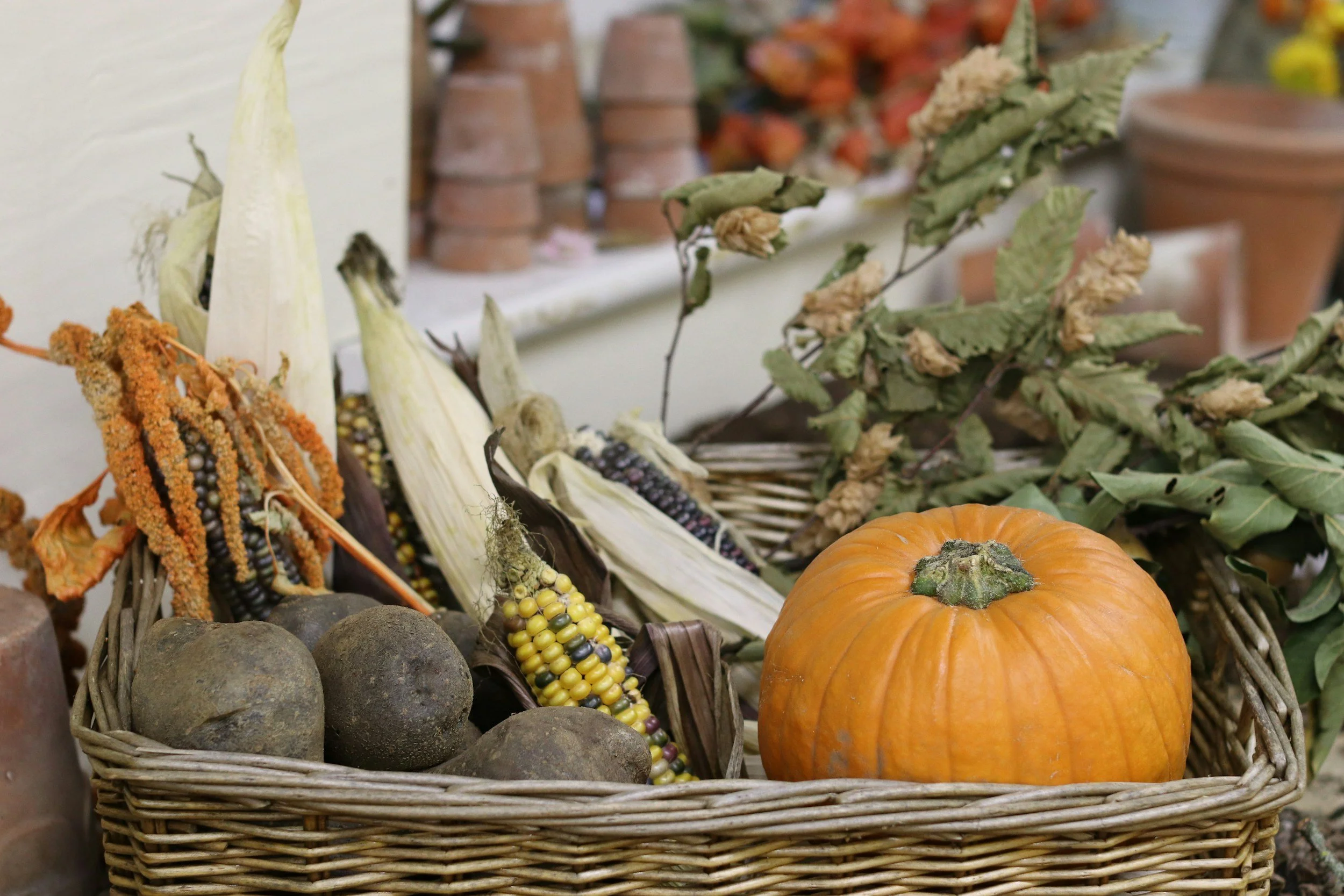 A basket of assorted gourds, pumpkins, dried corn, and dried plants on display.