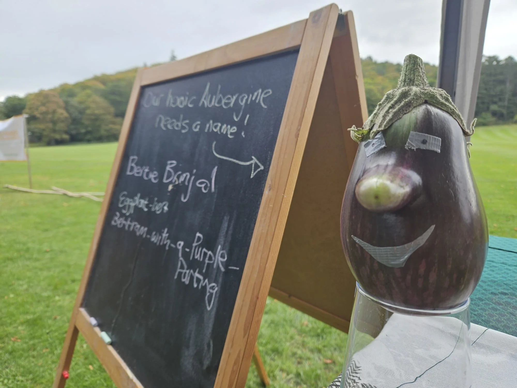 Heroic Aubergine FBFestival Sept2026.jpeg