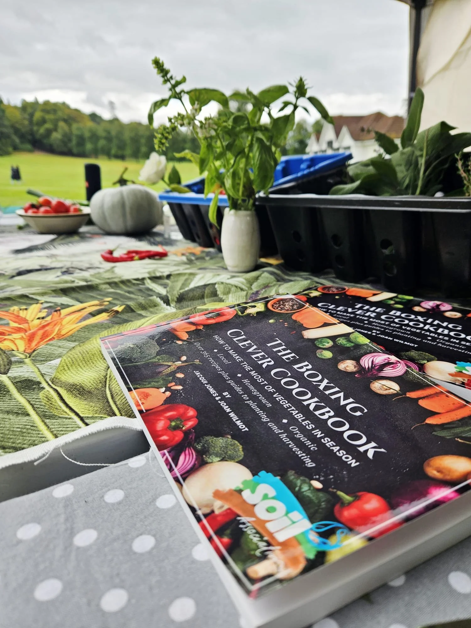 Recipe book on stall FBFestival Sept2026.jpeg