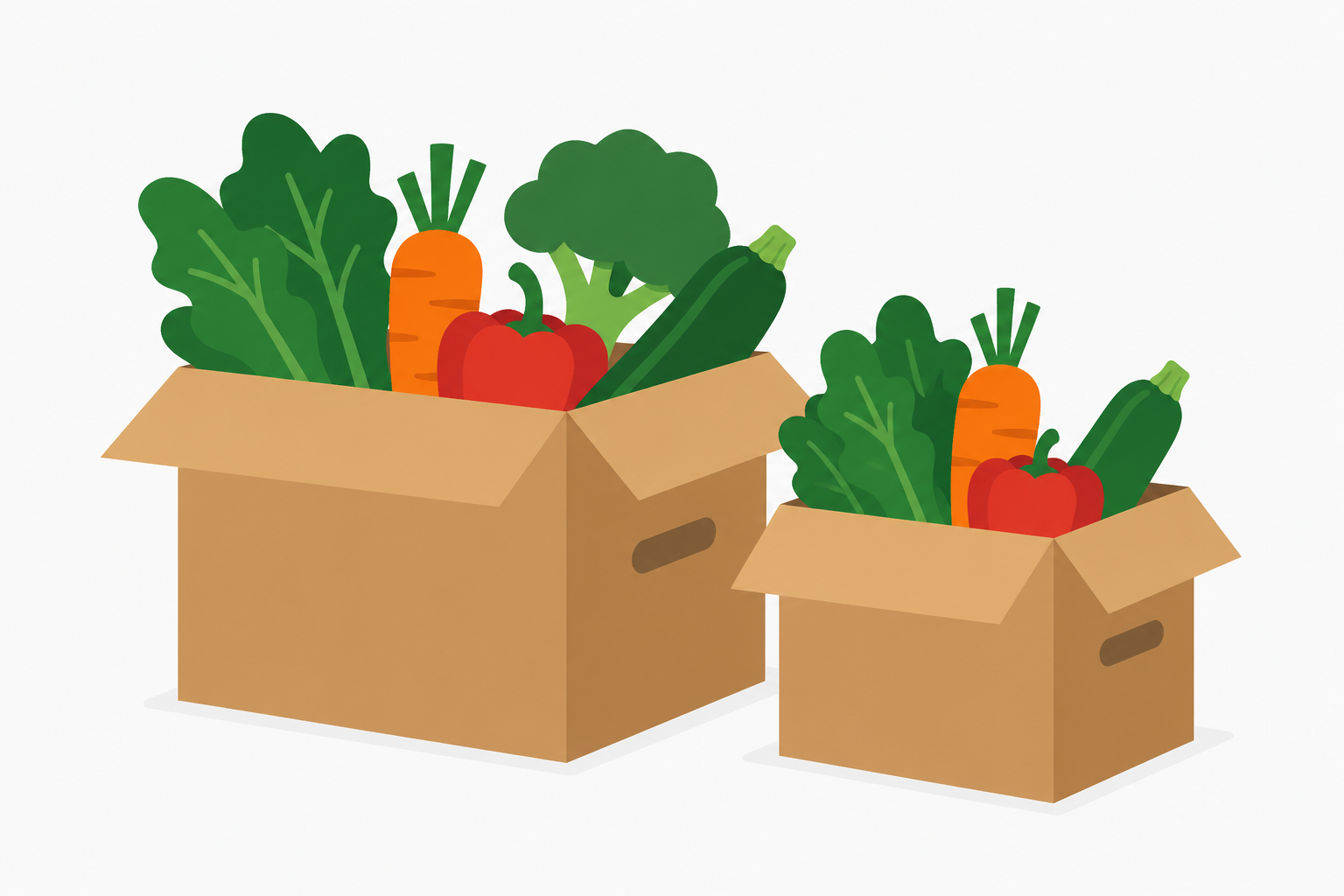 Two cardboard boxes filled with fresh vegetables including carrots, red bell peppers, zucchini, and leafy greens against a white background.