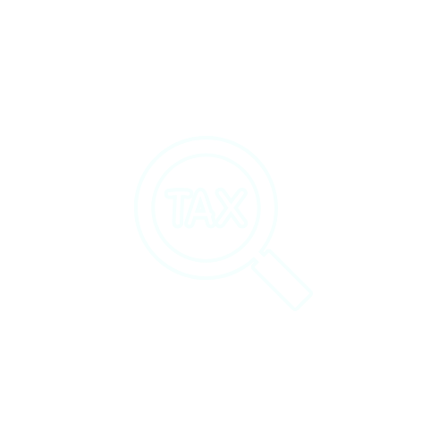 Magnifying glass with the word 'TAX' inside.