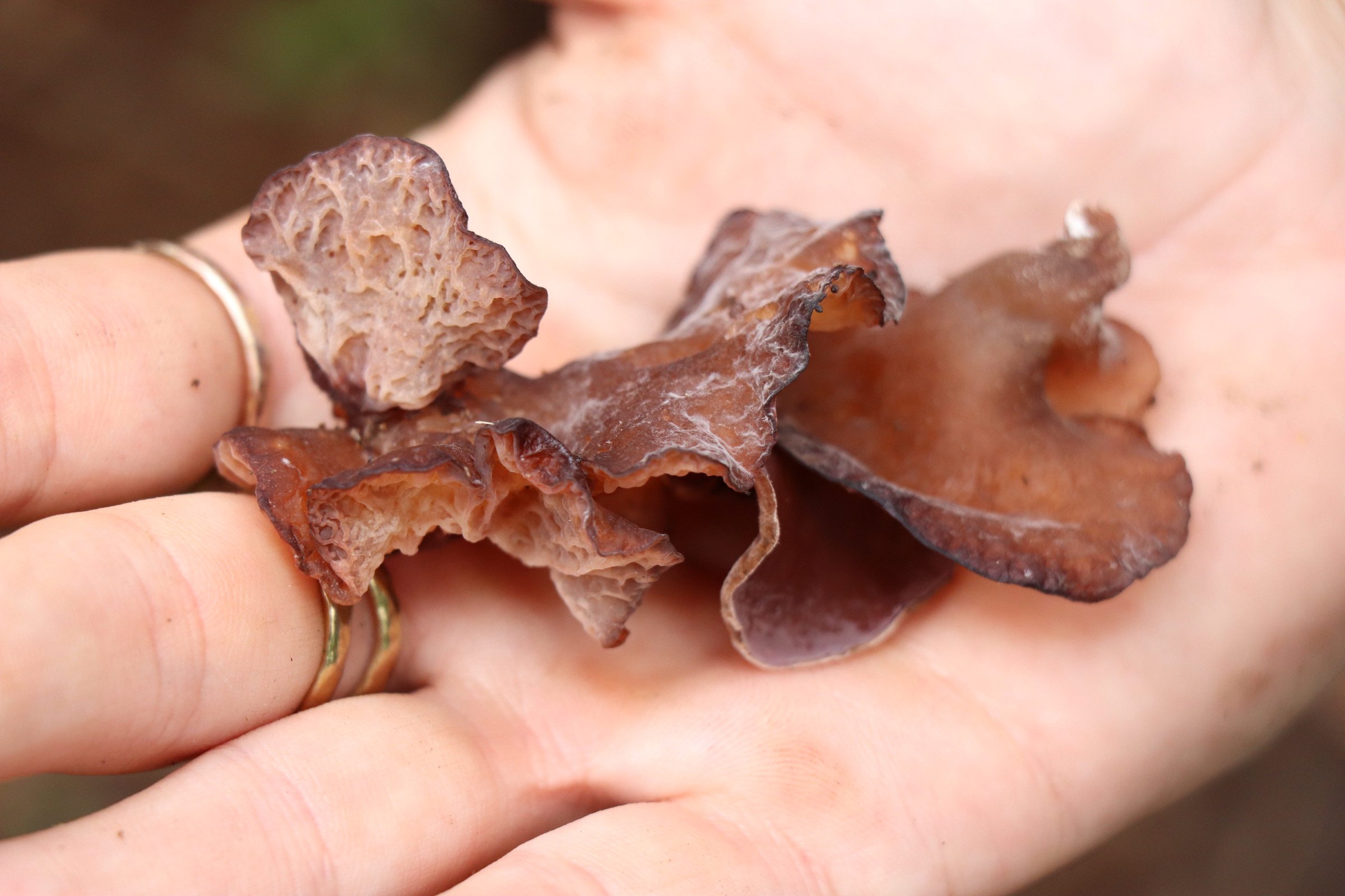 Weddings & Celebratory Rituals