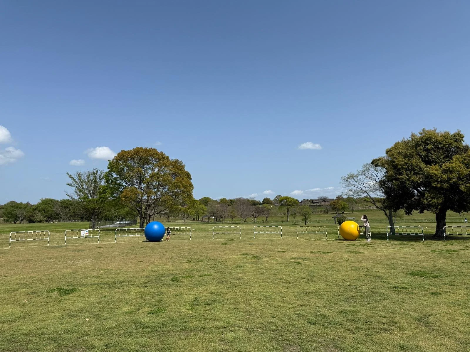 Open park with green grass, several trees, and a clear blue sky with a few small clouds. Two large colored exercise balls, one blue and one yellow, are positioned behind some white barricades. A person is standing next to the yellow ball, taking a photo or looking at it. Another person is near the blue ball. The park is spacious and peaceful.