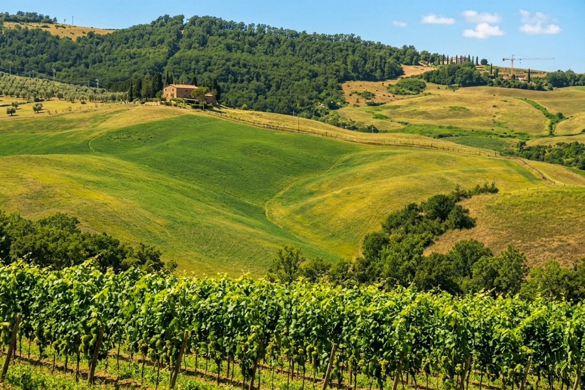 Paesaggio collinare con vigneti, case di campagna e cipressi, sotto un cielo blu con poche nuvole.