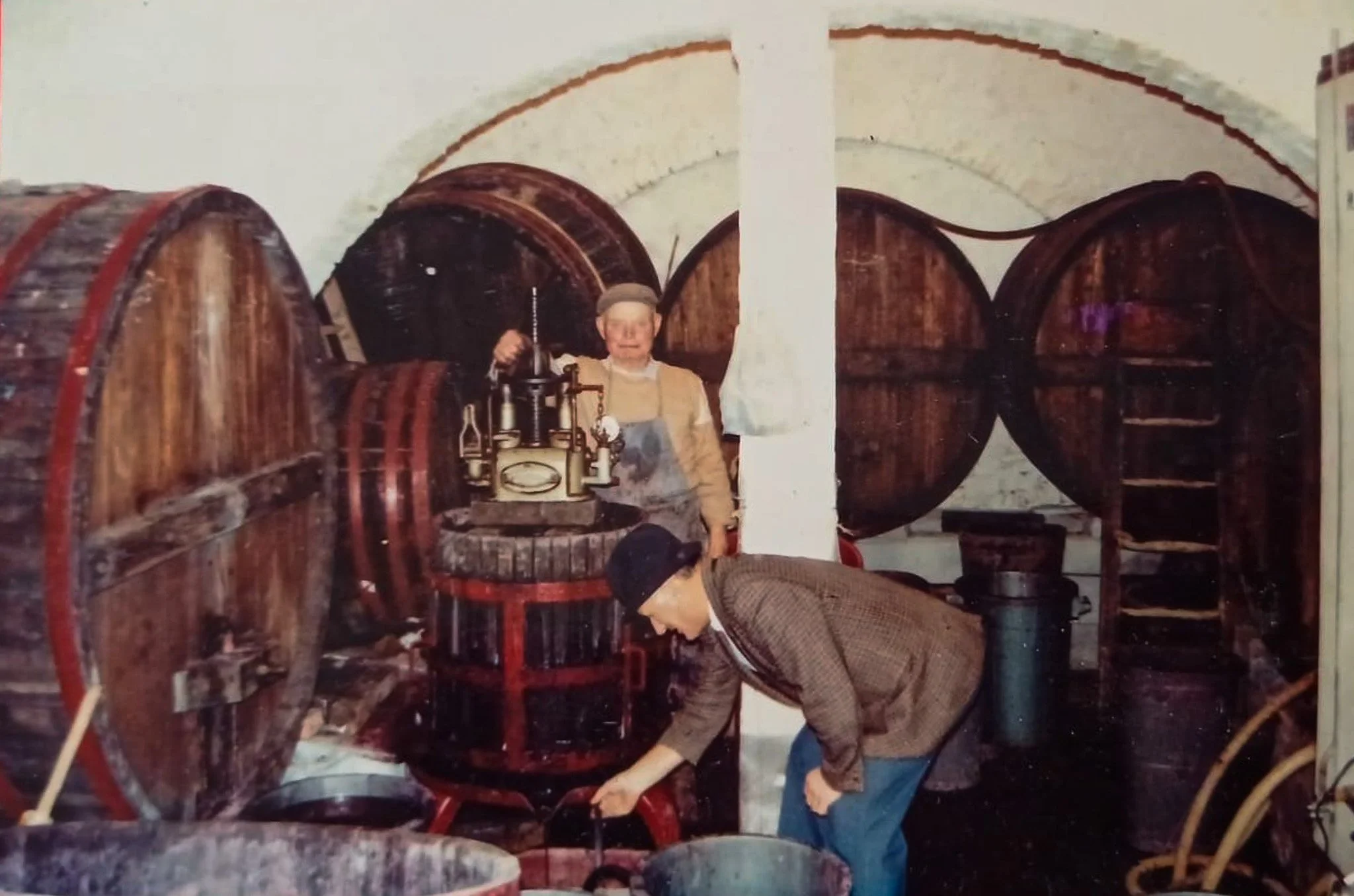 Due persone in un'azienda vinicola, una donna al centro e un uomo in primo piano, che partecipano alla lavorazione del vino tra grandi botti di legno.