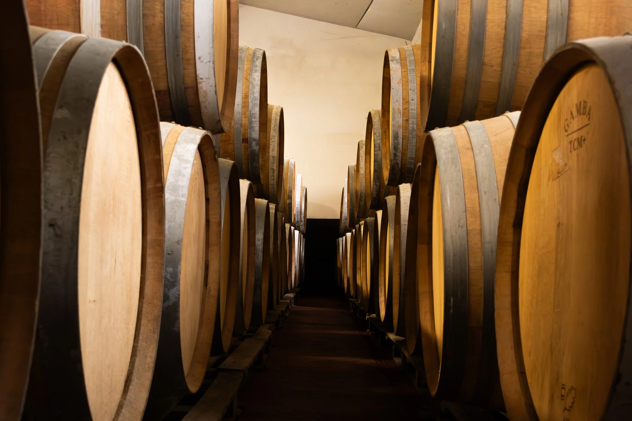 Filari di botte di vino in una cantina.