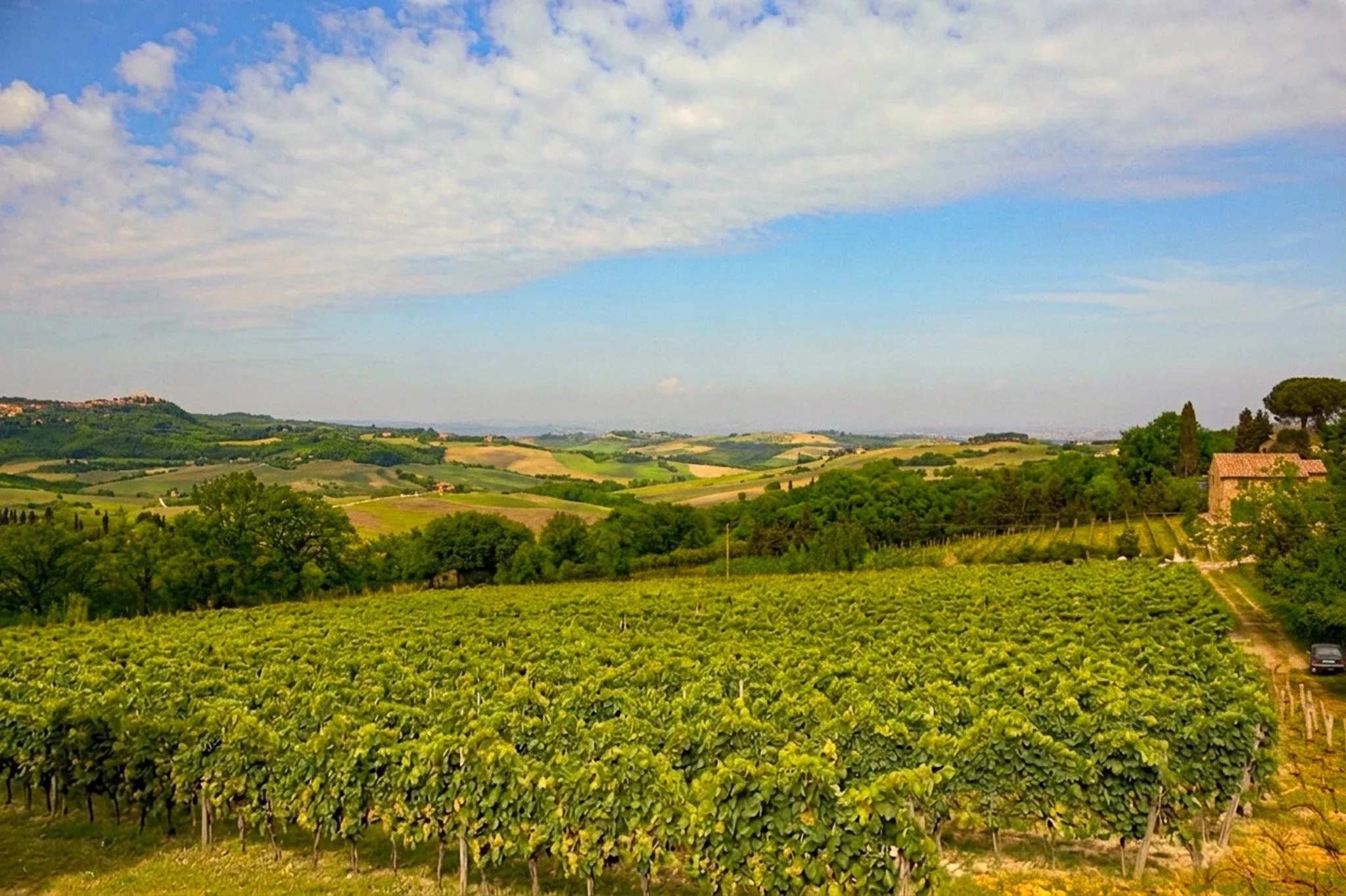 Paesaggio rurale con vigneti, colline verdi e un cielo con nuvole sparse.