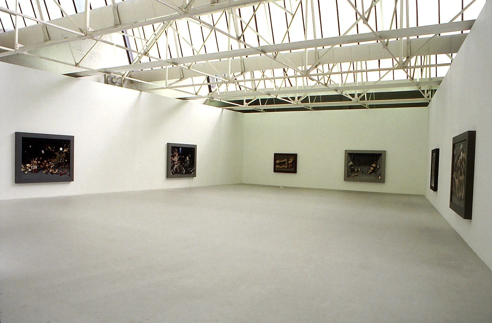 installation of an exhibition of paintings in a large white room