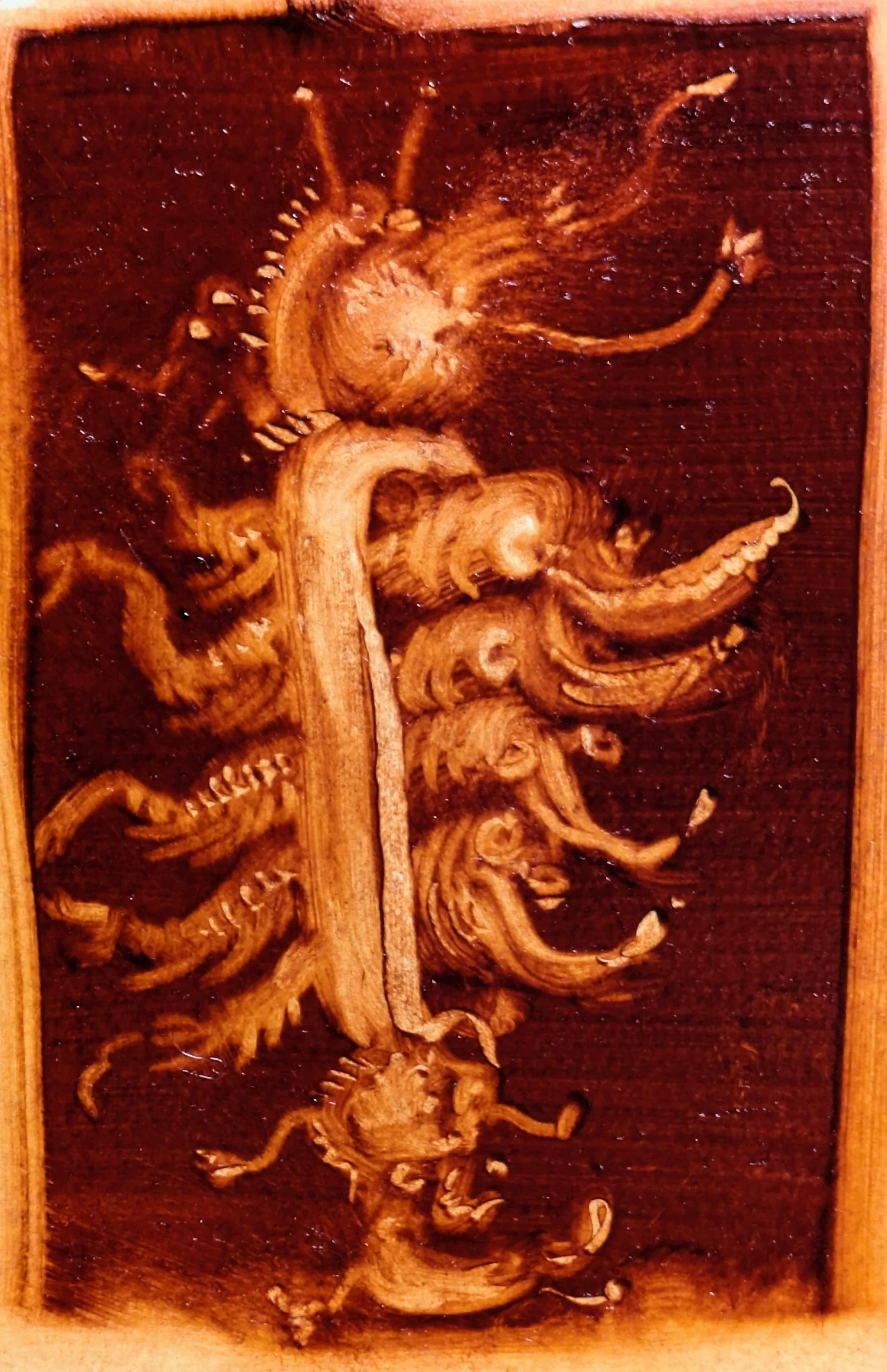Carved wood panel depicting a dragon with detailed swirling tail and claws, mounted on a dark background.