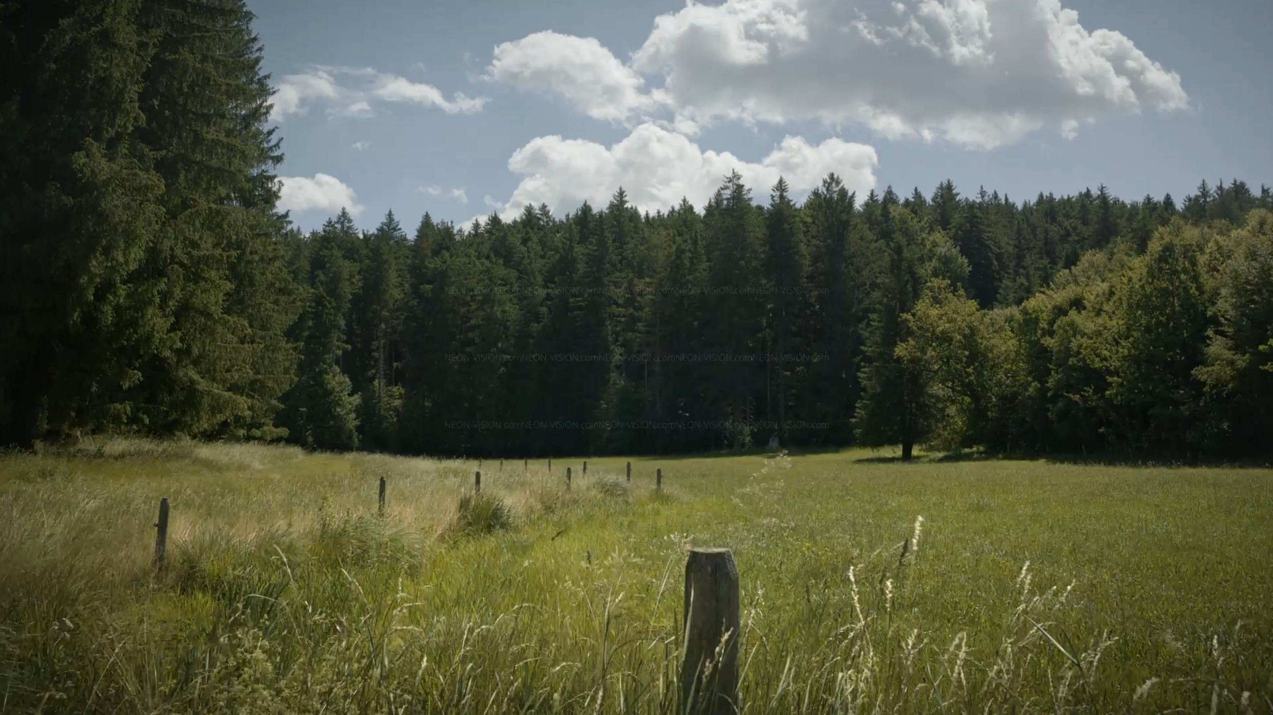 A006_06240929_C005.png