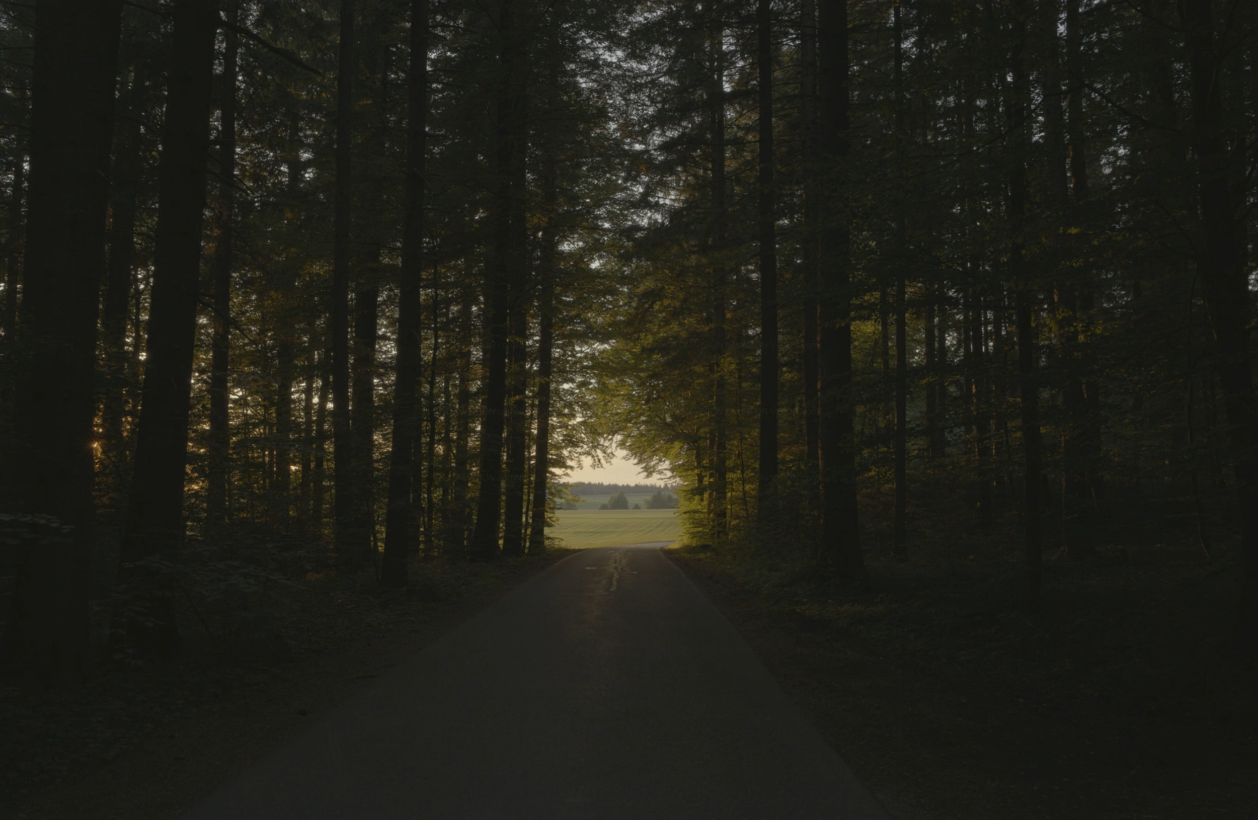 A006_07012043_C066.png