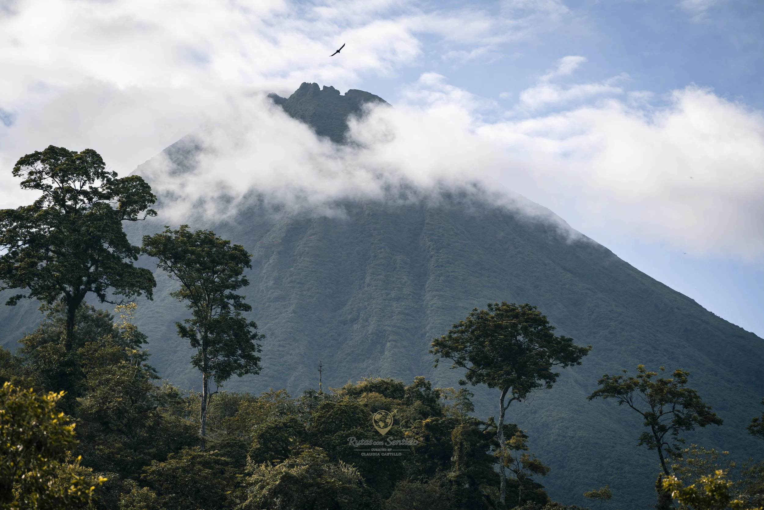 Montaña cubierta de nubes y árboles en primer plano,  el arenal costa rica