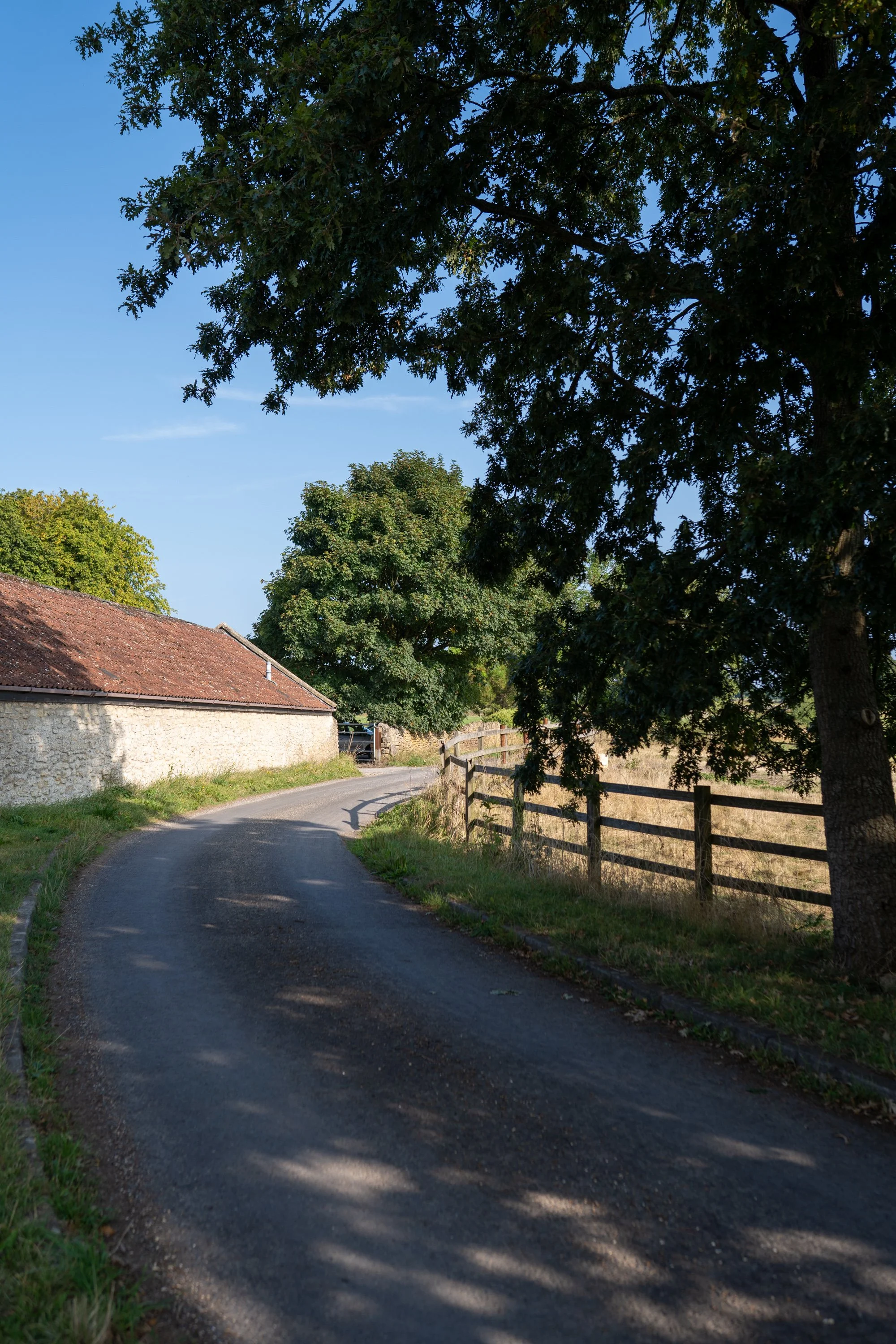 A rural street with a curved asphalt road, a stone building with a red roof on the left, a wooden fence on the right, and large leafy trees providing shade, under a clear blue sky.