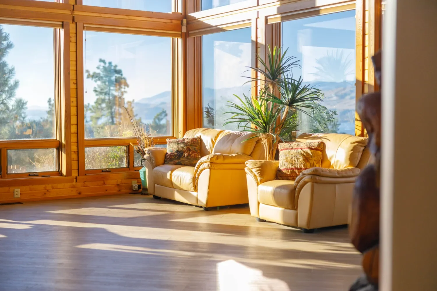 Living room with large windows