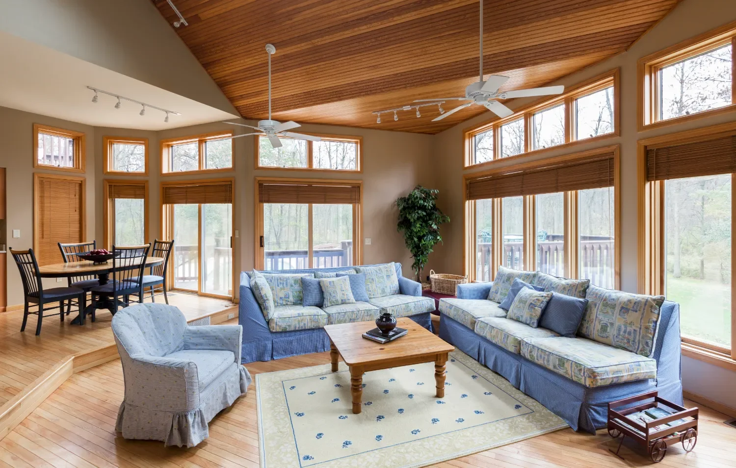 Living room and dining area